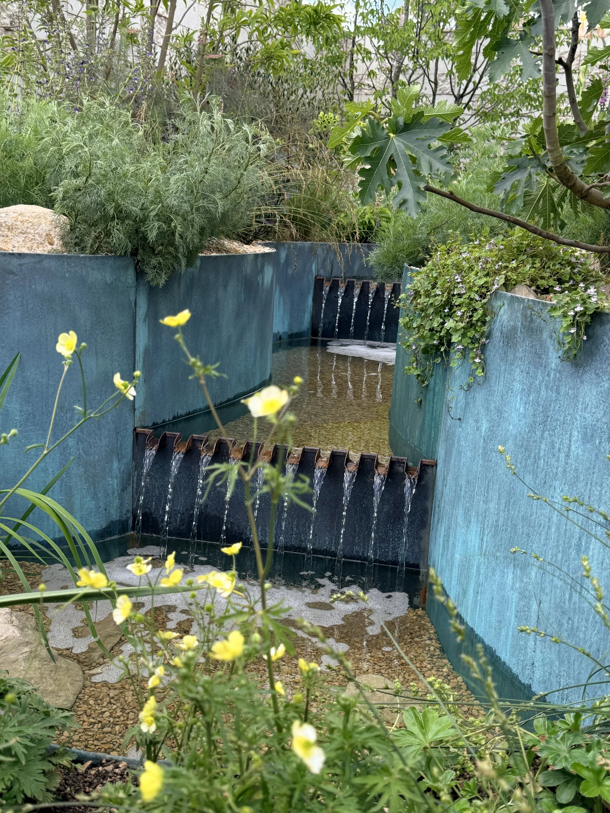 Chelseaflowershow2026jpeg.jpeg