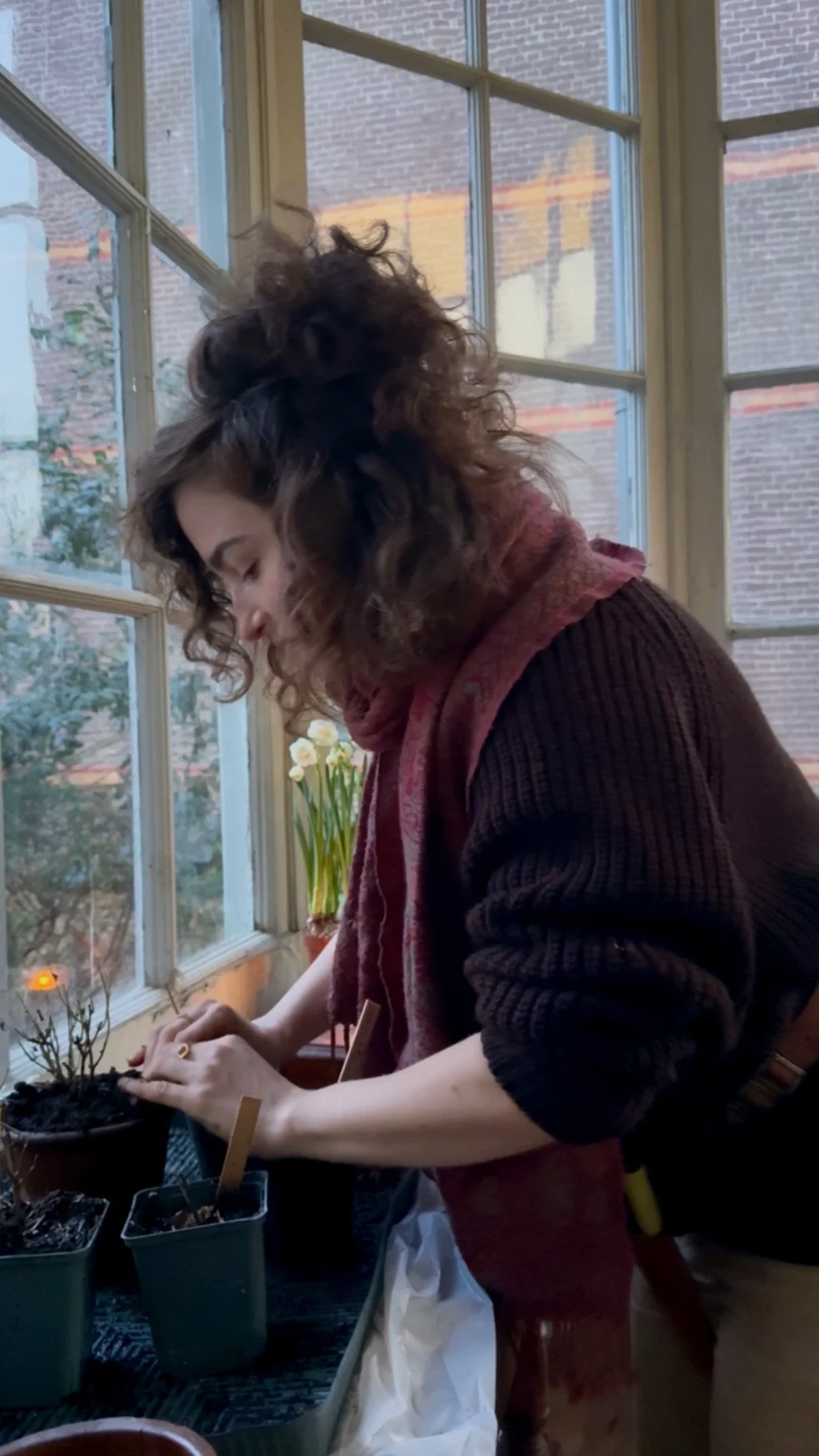 ecologisch tuinontwerp en biodynamische landbouw