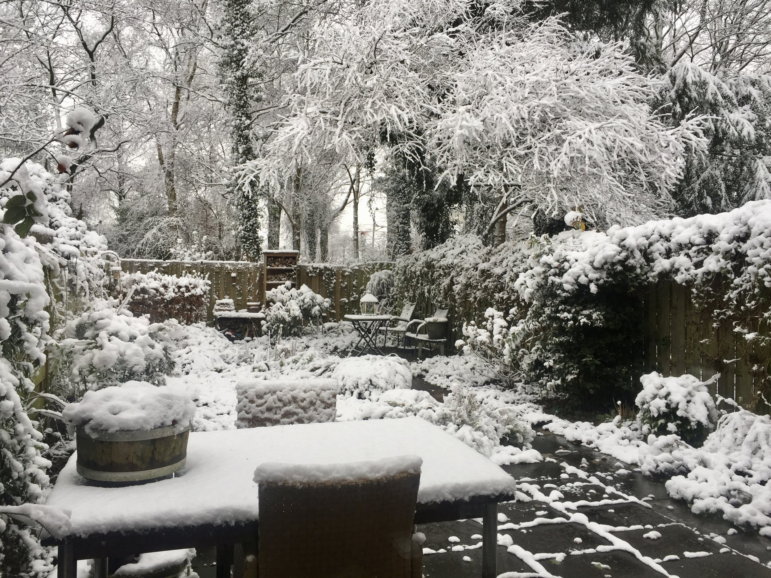 Romantische wintertuin. Tuinontwerp en beplantingsplannen voor sfeervolle tuinen met wintersilhouet.