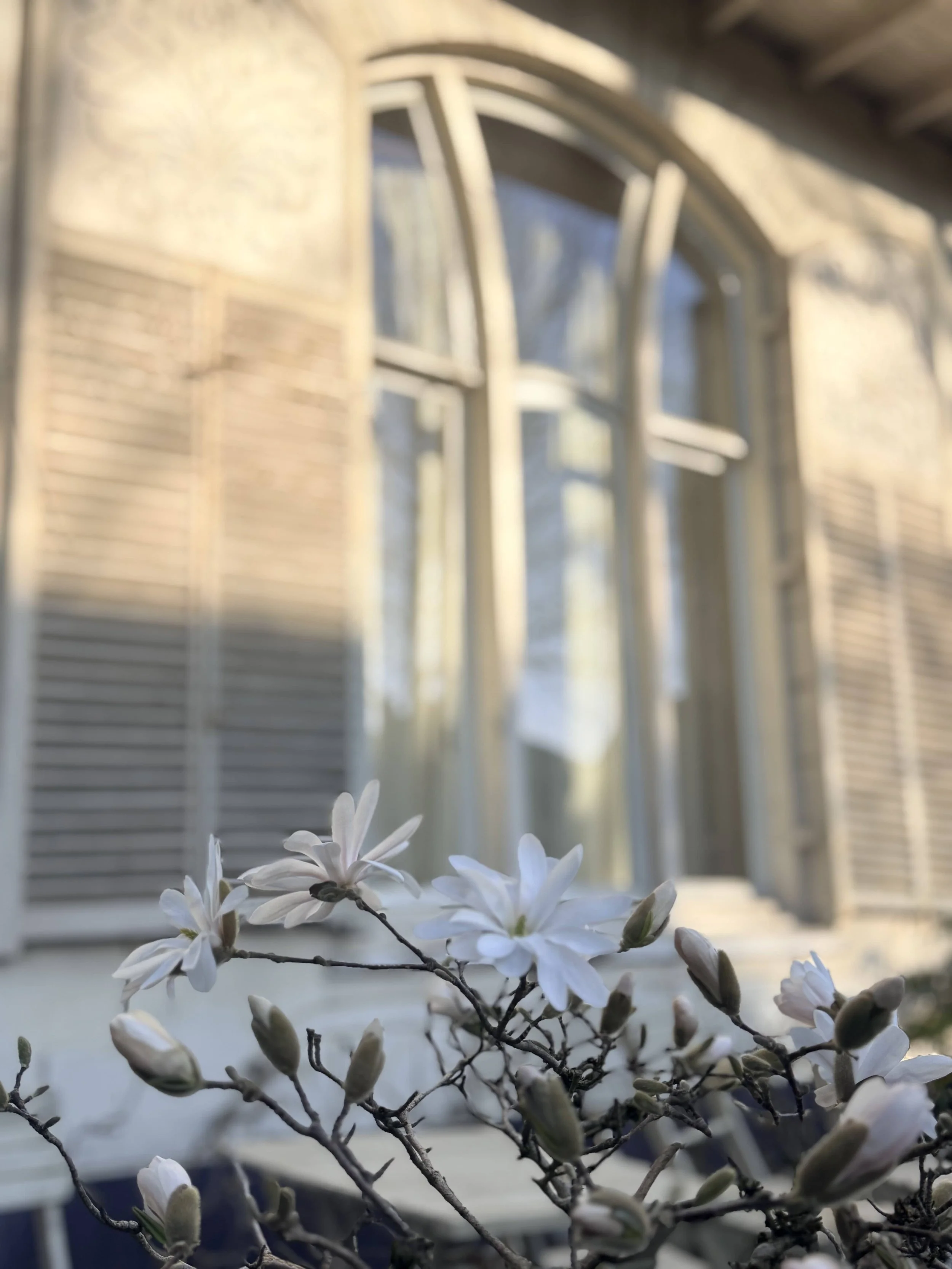 tuinontwerp velp oosterbeek rozendaal amsterdam weesp laren blaricum