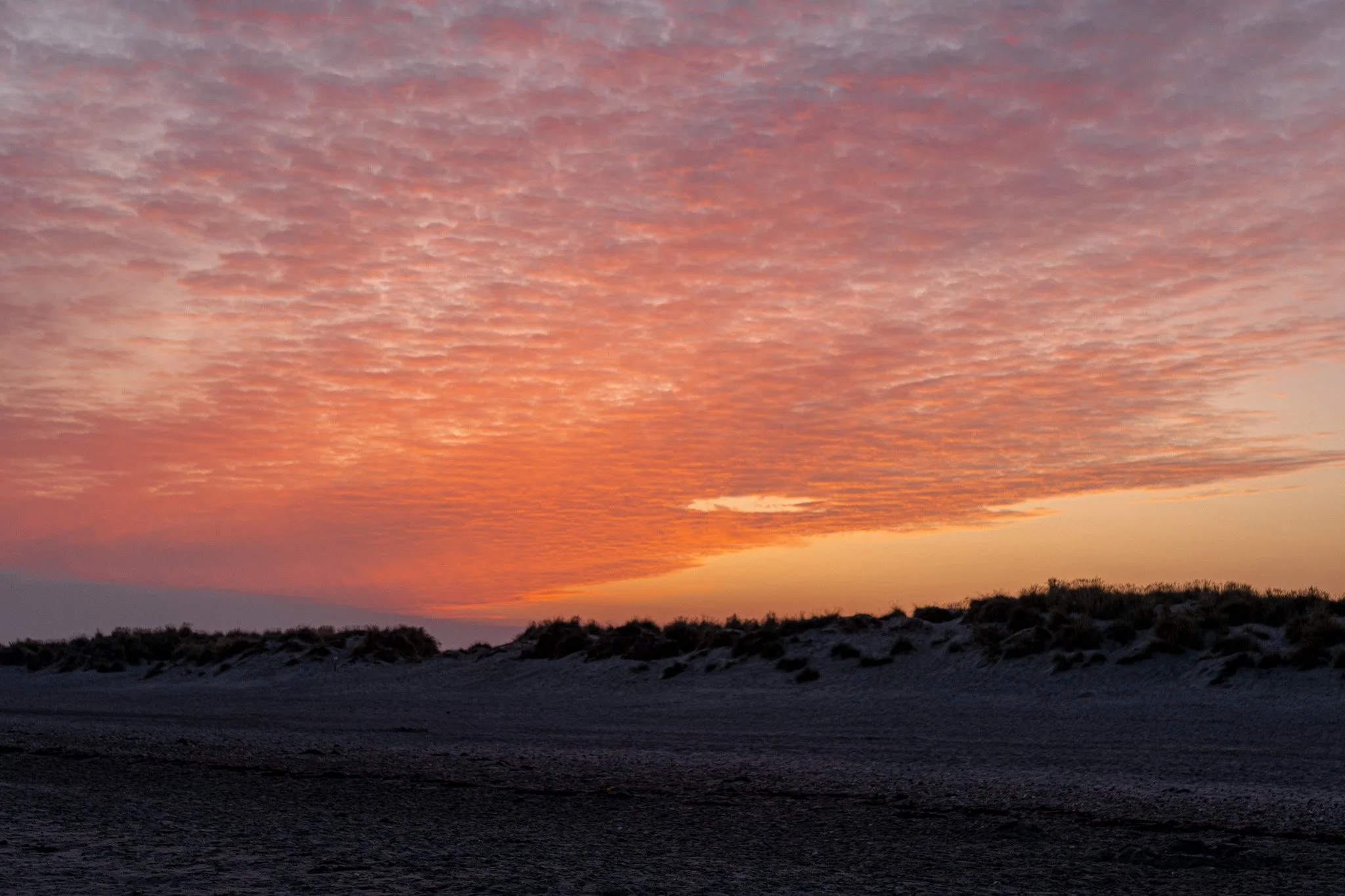 Lectio 365 Night Devotionals