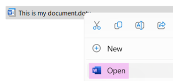 Image of an MS Word dropdown menu to open a file