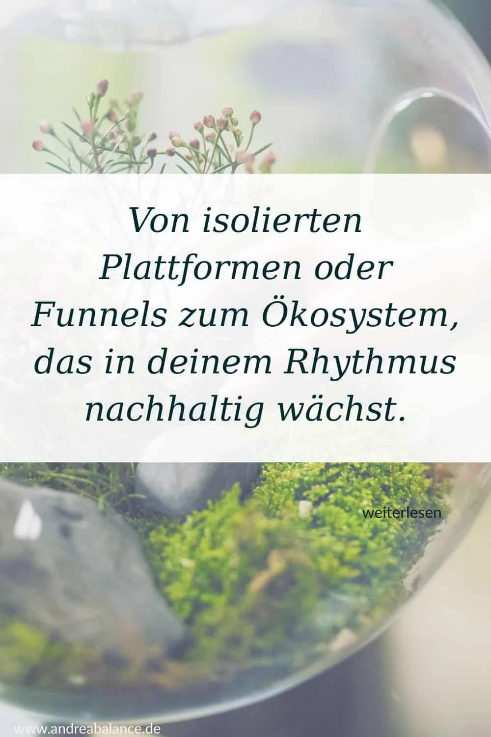 Von isolierten Plattformen, Druck oder linearen Funnels zum Ökosystem, das in deinem Rhythmus nachhaltig wächst.