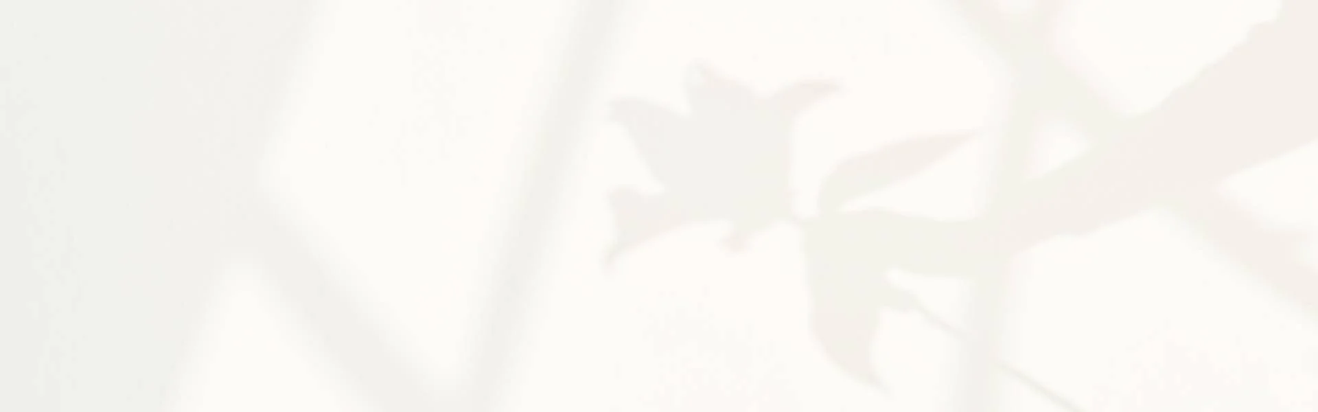 Headerbild Blog für Balance
