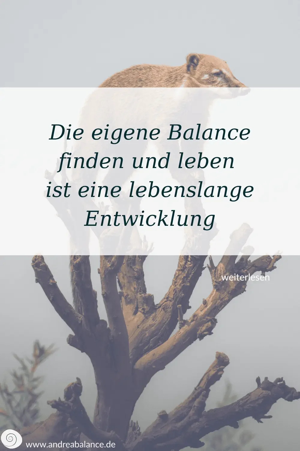 Tier auf Aesten als Symbolbild fuer Balance finden