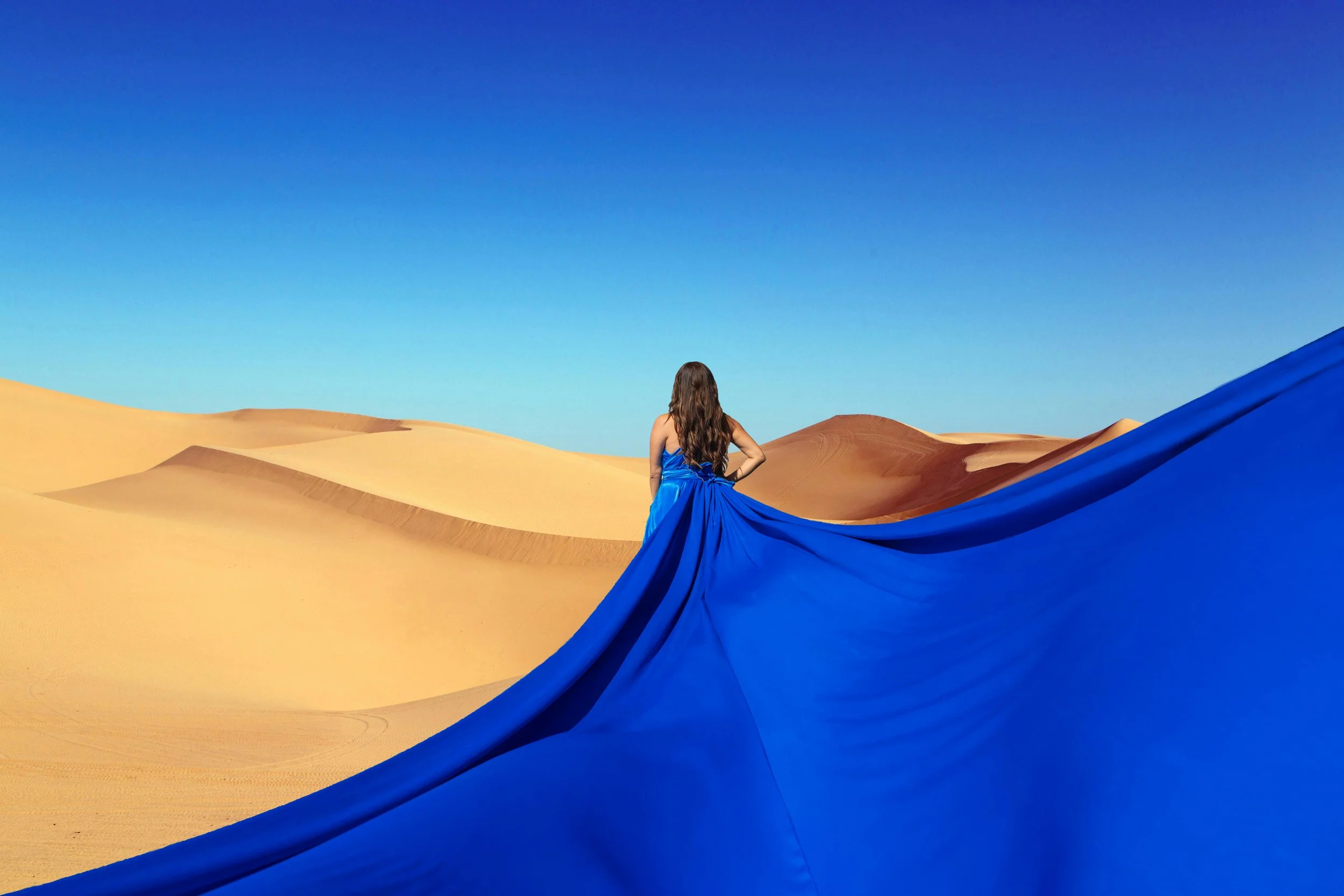 blue backshot copy.jpg