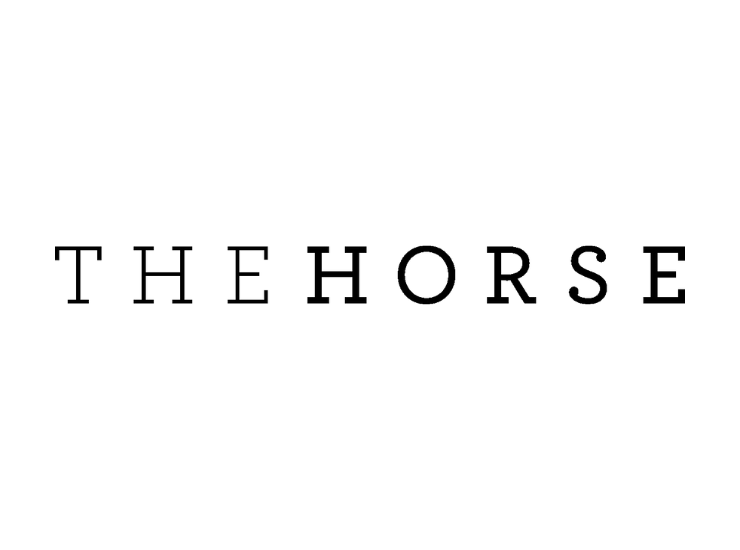 no background_new size.png