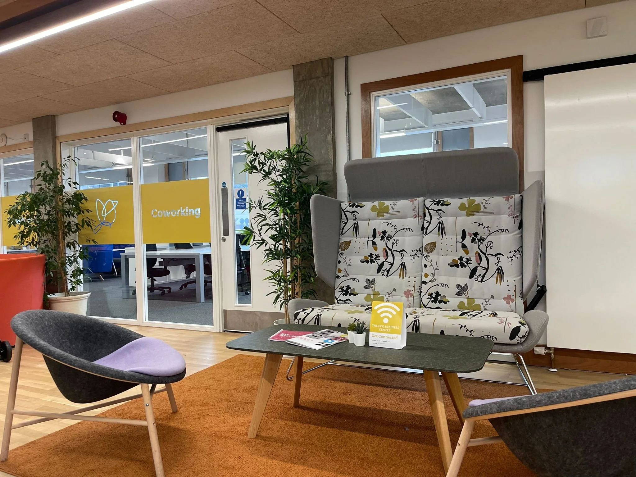 WhatsApp Image 2025-02-05 at 19.49.54.jpeg