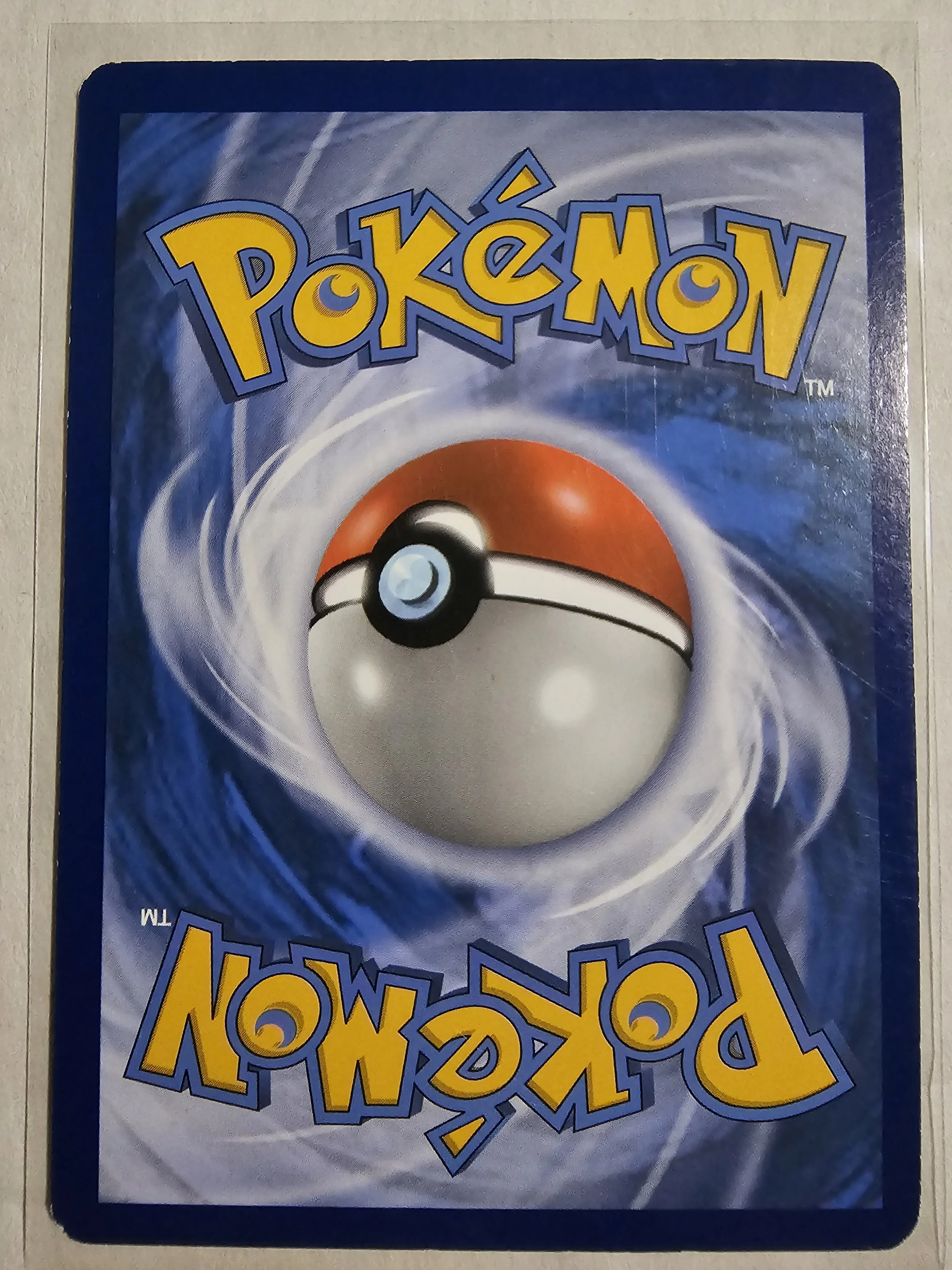 1000003534.jpg
