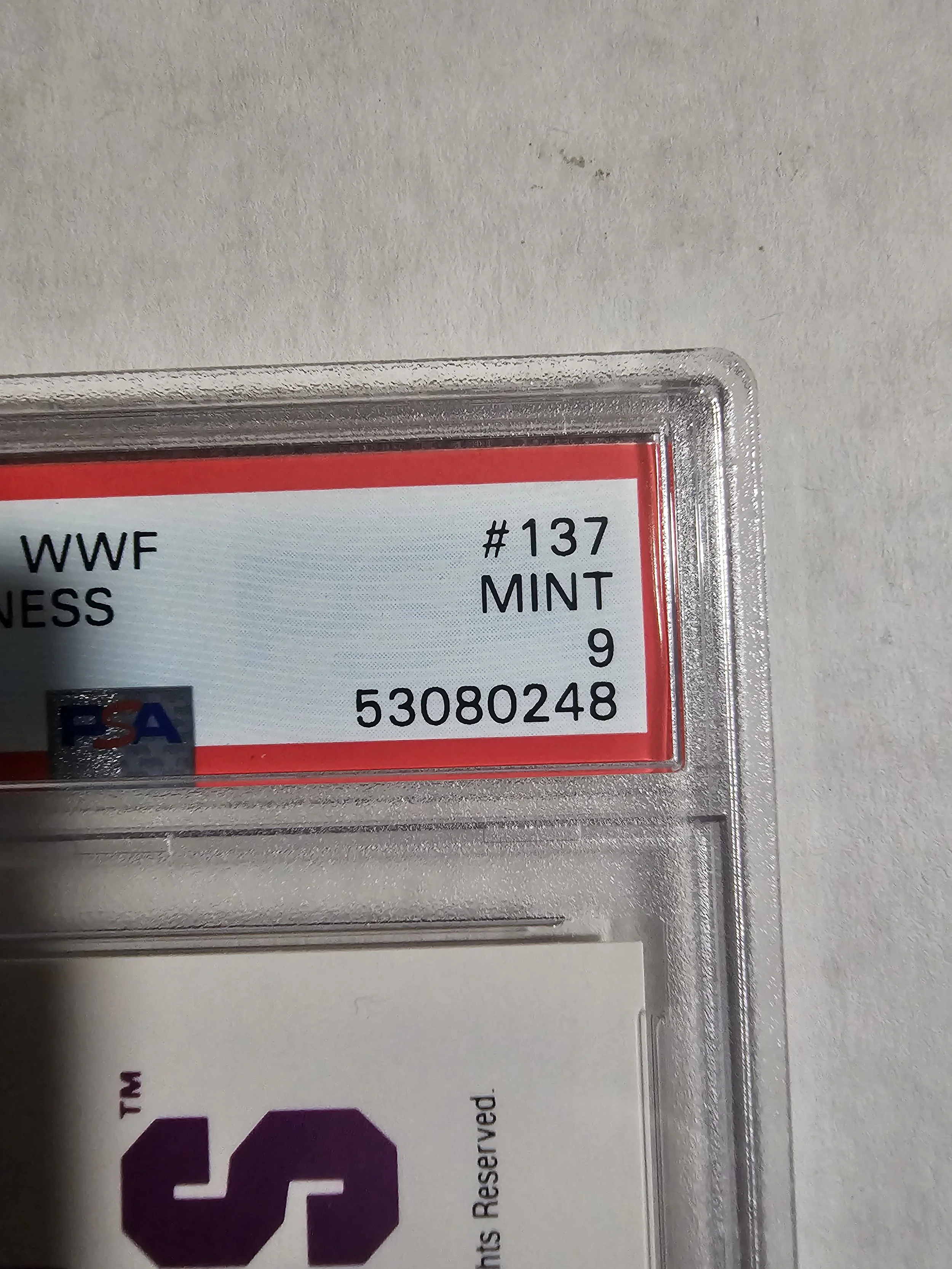 1000003710.jpg