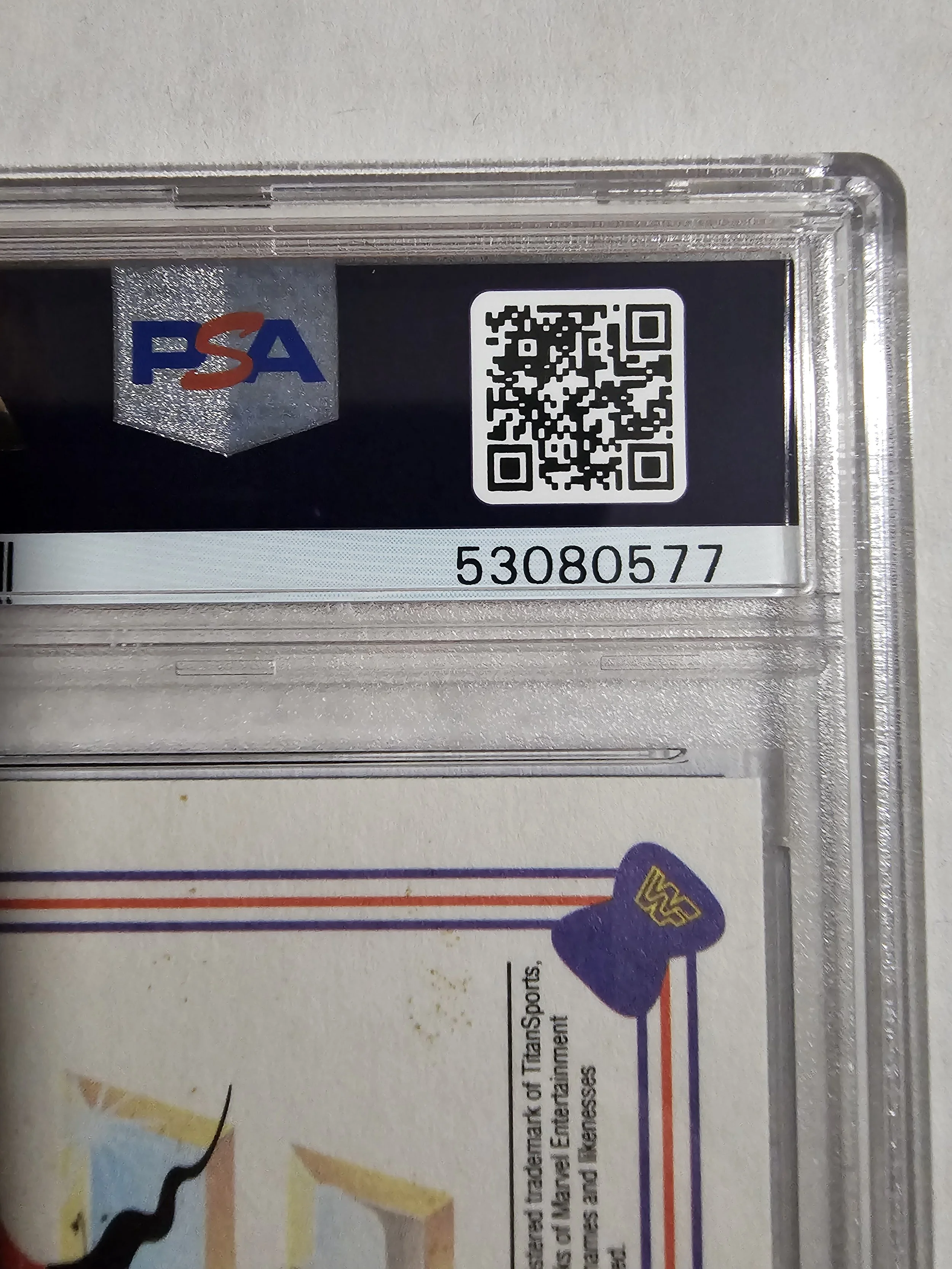 1000003490.jpg
