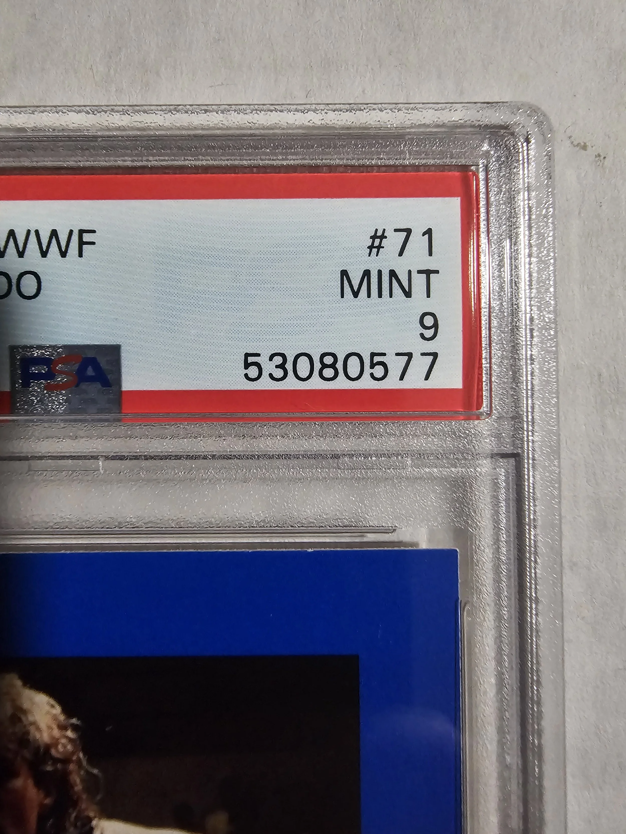 1000003487.jpg