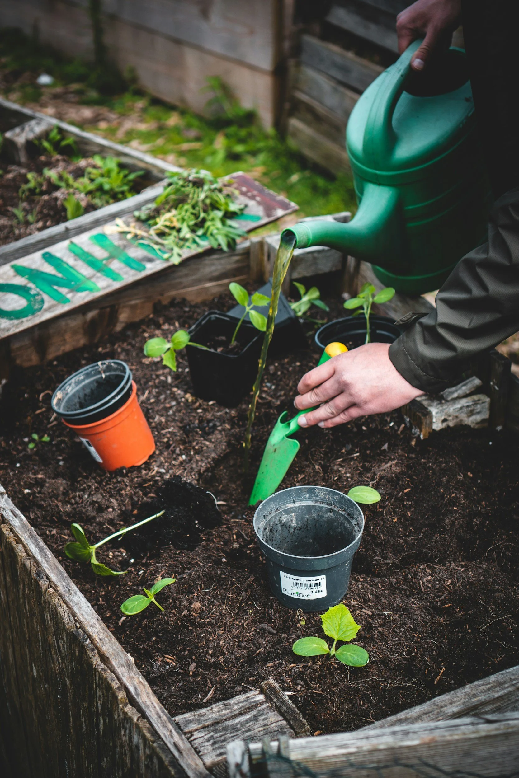 Join our Gardening Club