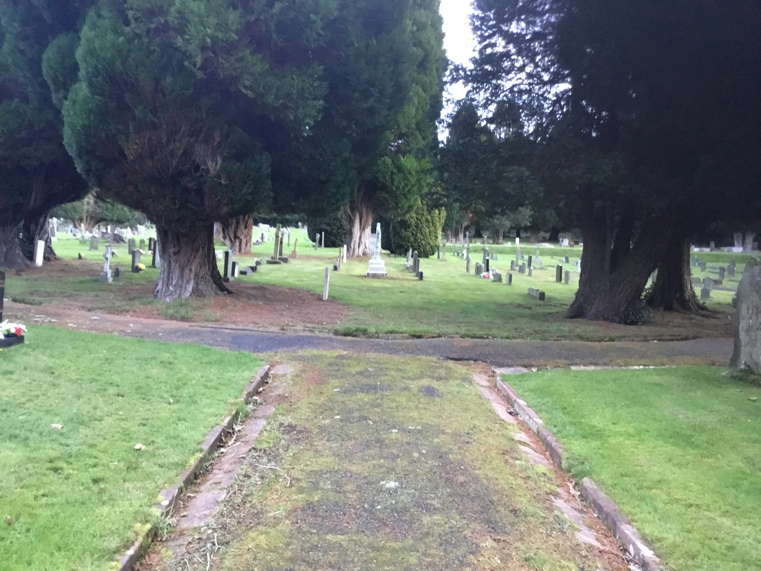 Fr Hill grave 5.jpeg