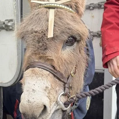 Palm Sunday 2026 3.jpg