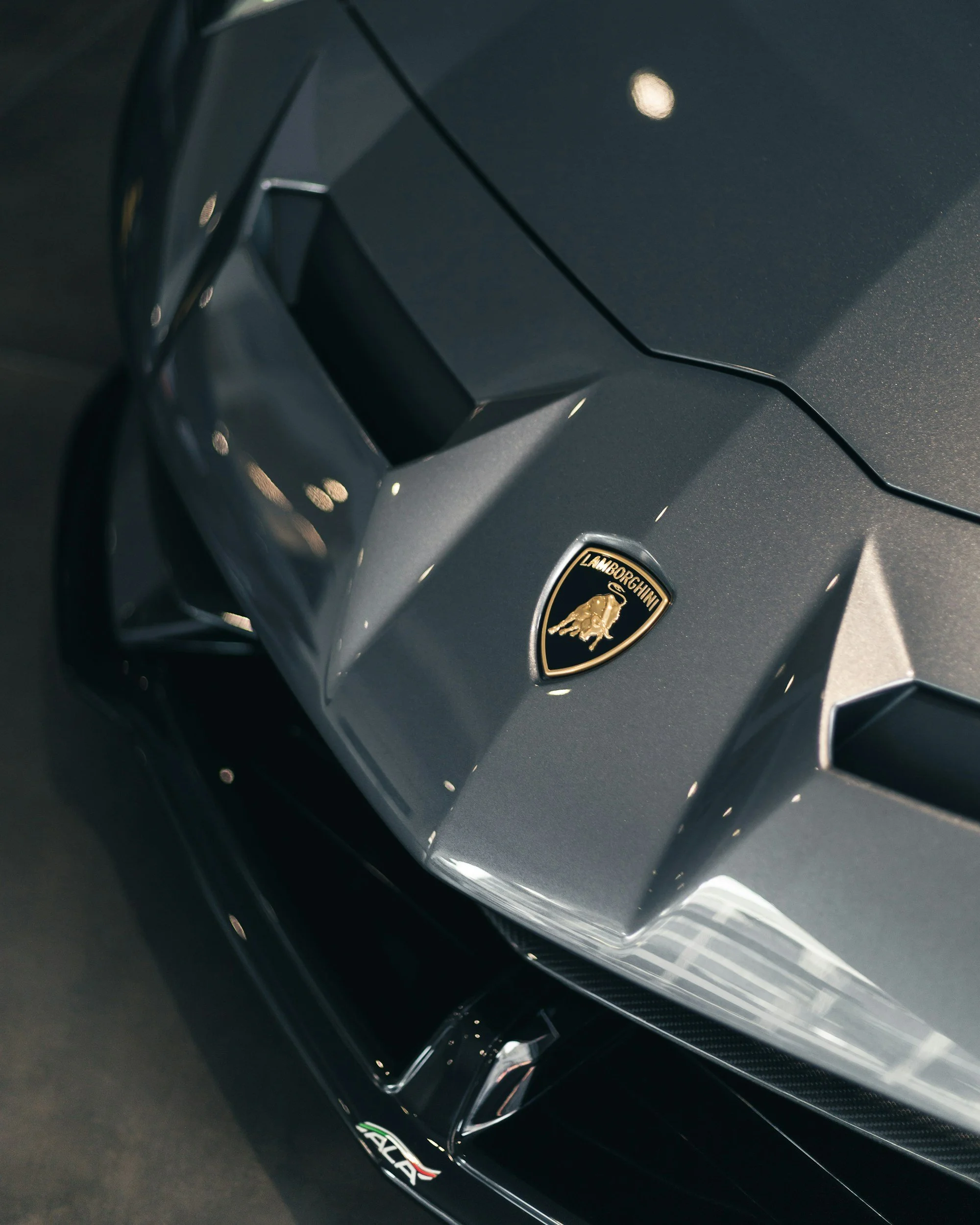 Close-up of a Lamborghini Aventador hood and emblem