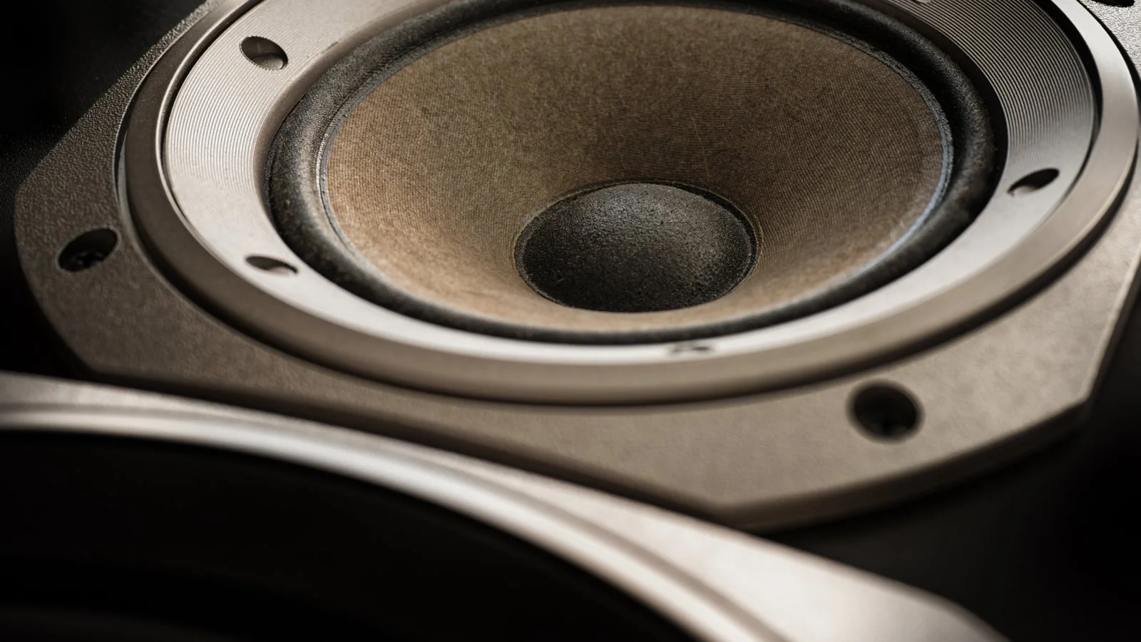 Close-up of a speaker cone with visible texture and surrounding frame.