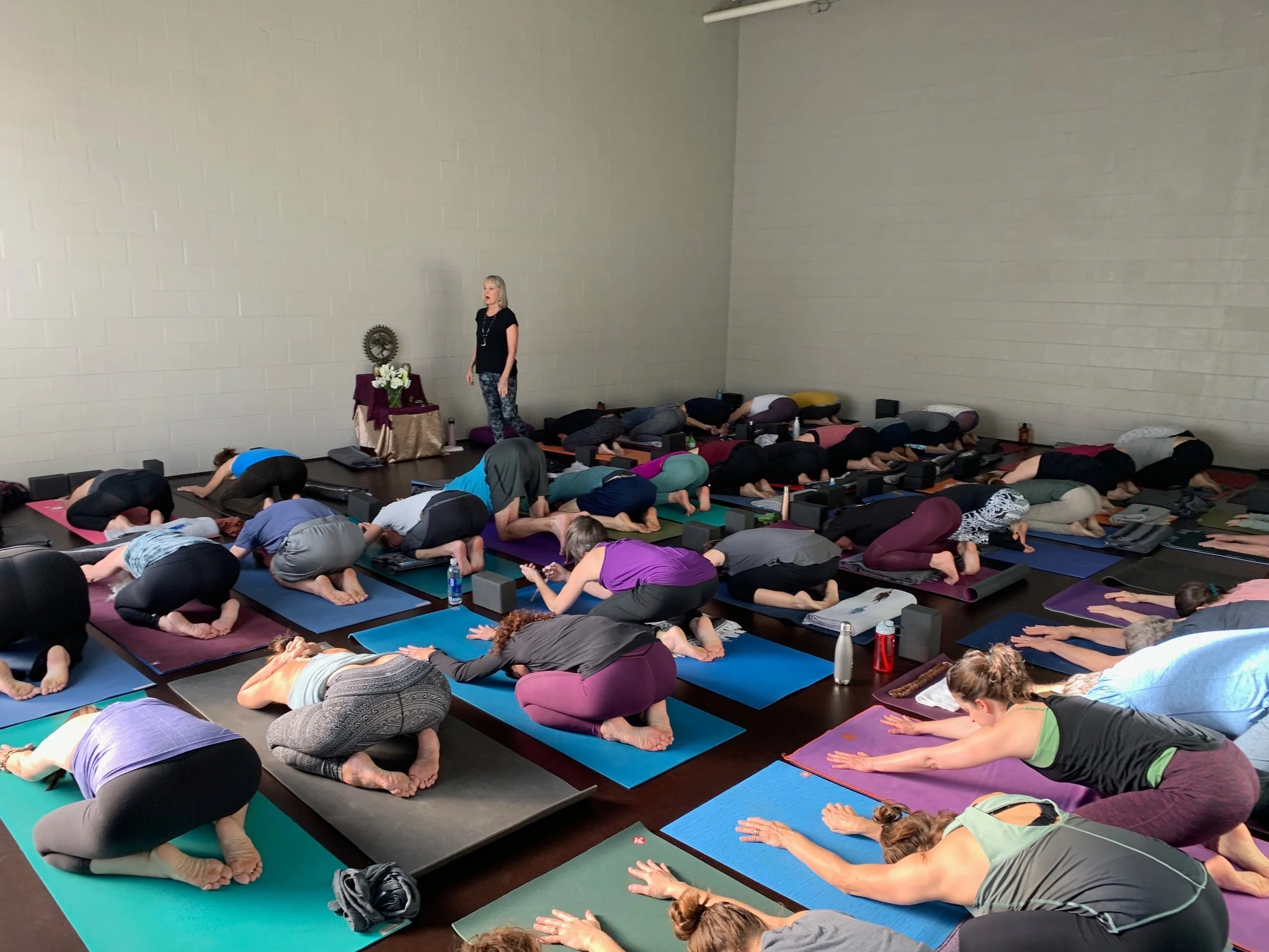 Deep Stretch Sadhana - Feb. 8. 11:00 - 12:30