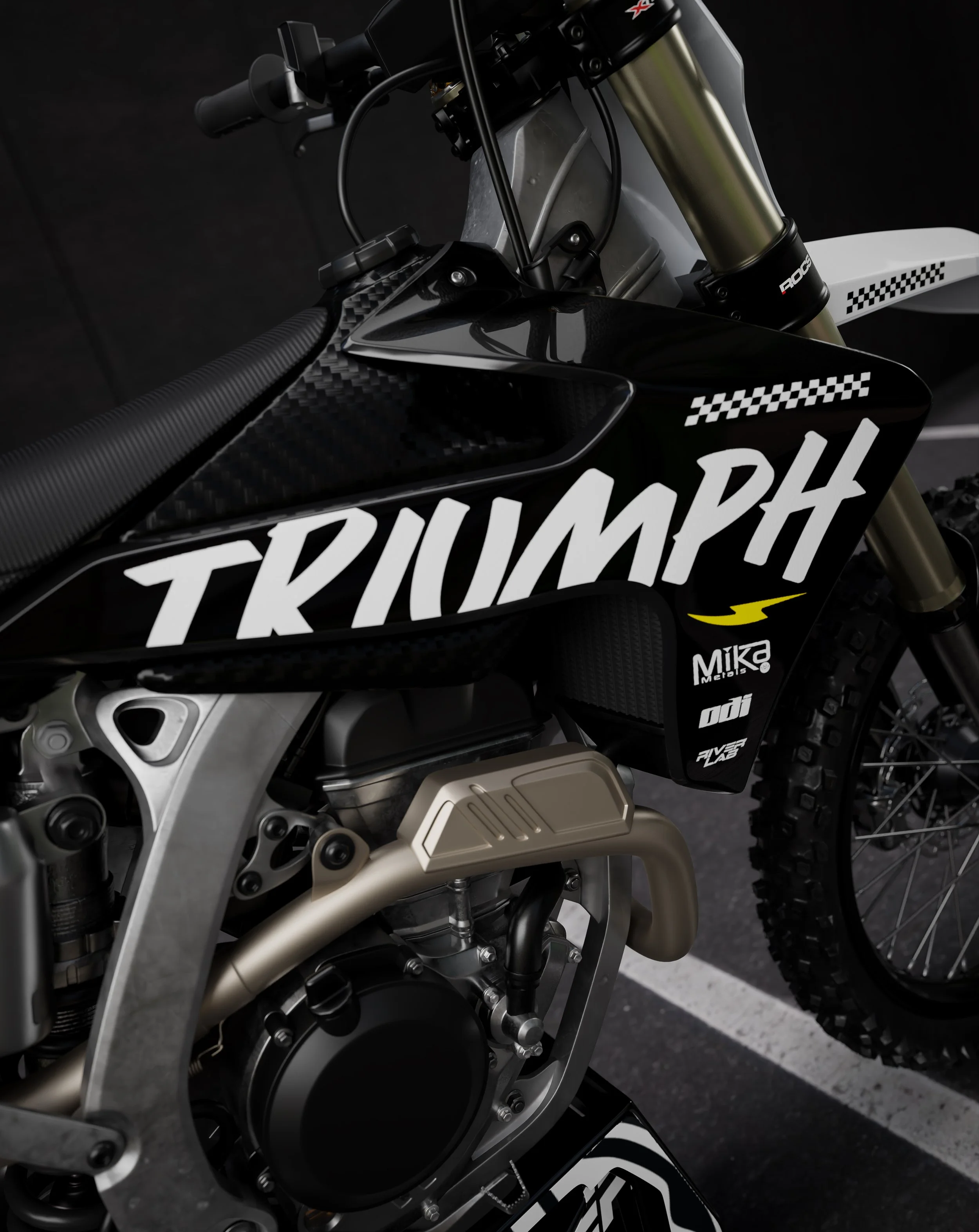 TRIUMPH4.jpg
