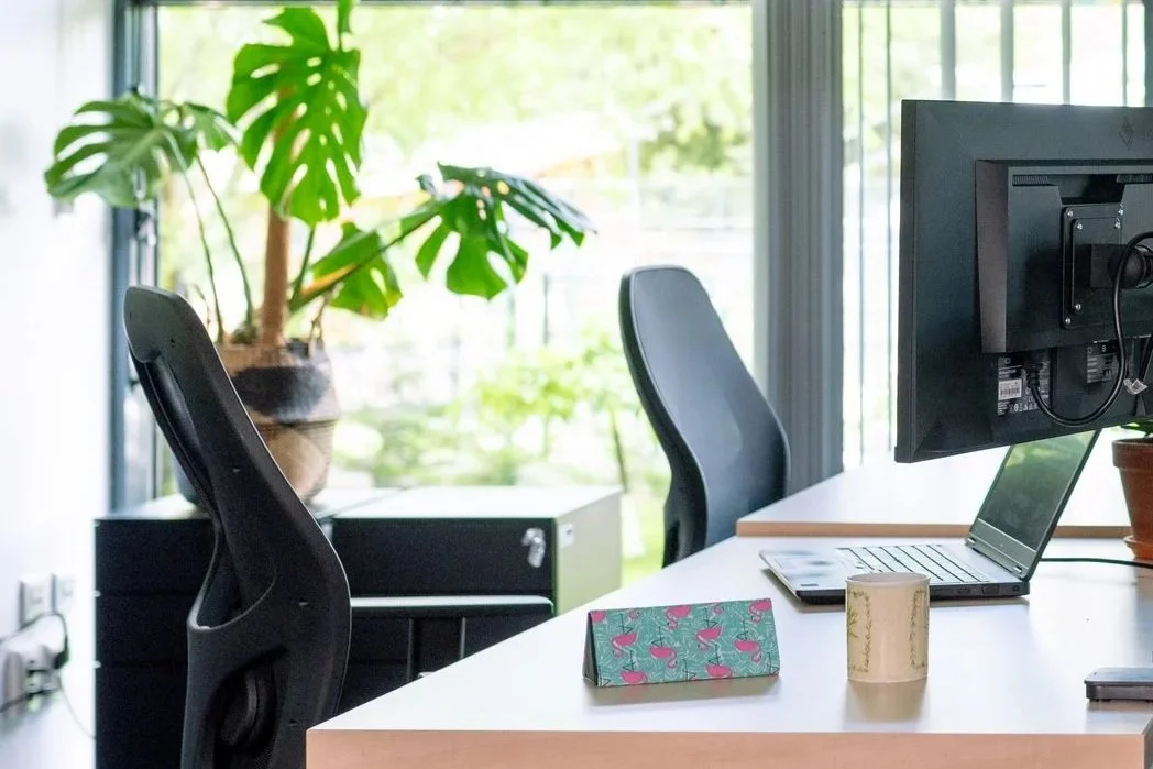 A cosy office for two. West-facing, with large windows and soft afternoon light. The trees outside keep it naturally shaded and calm.