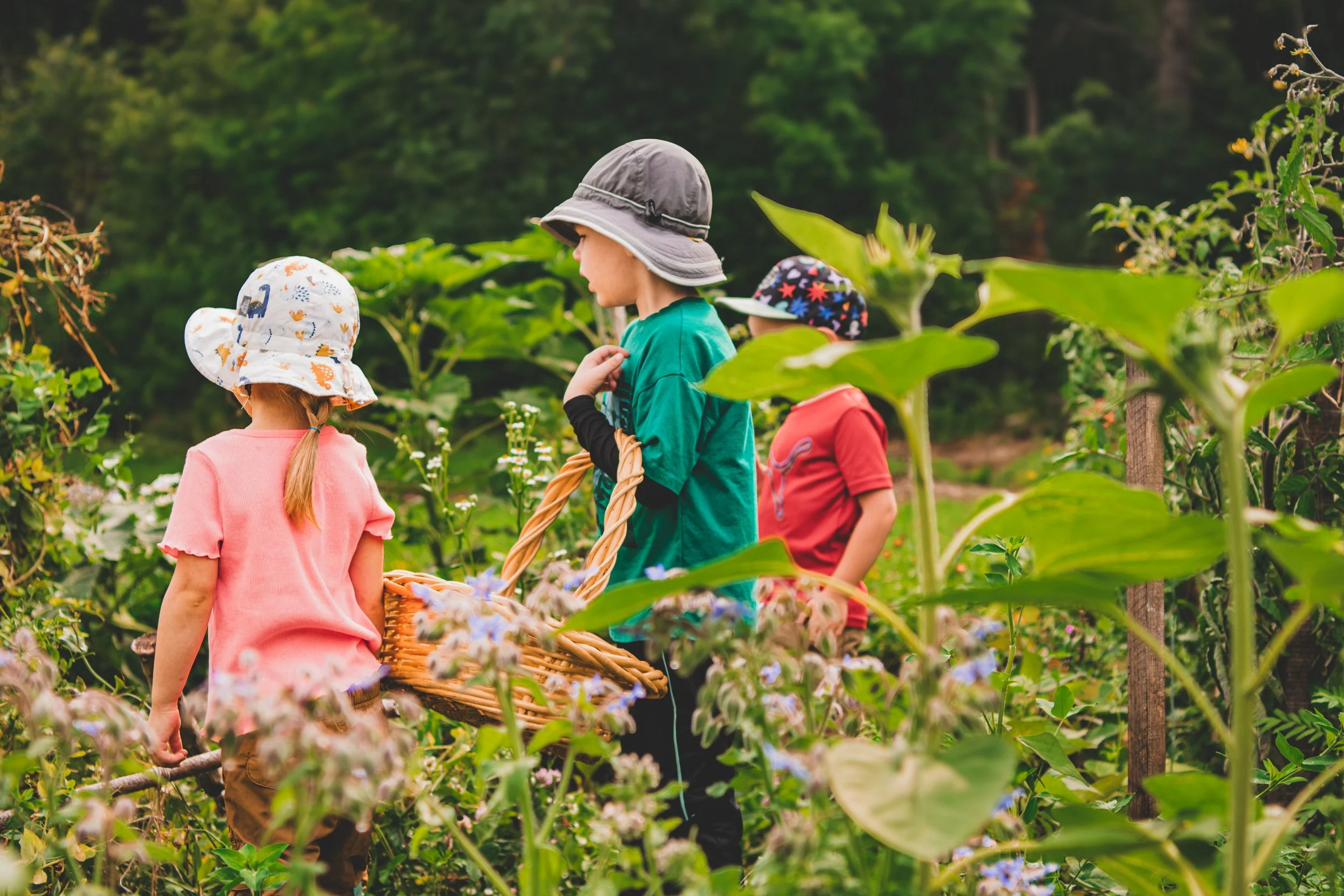 wildchildnatureproject-76.jpg