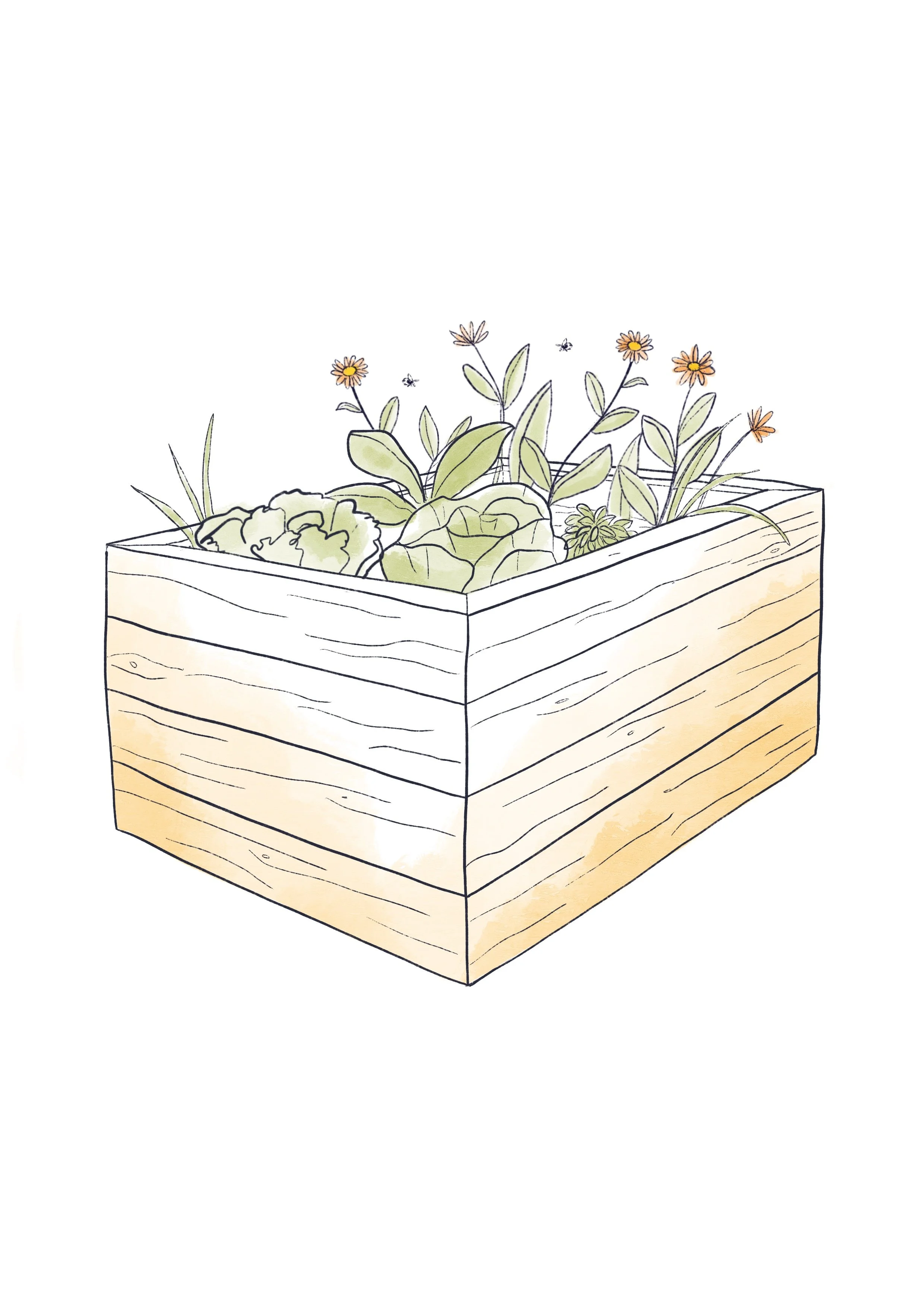 Klimaanpassung-Hochbeet 2.jpg