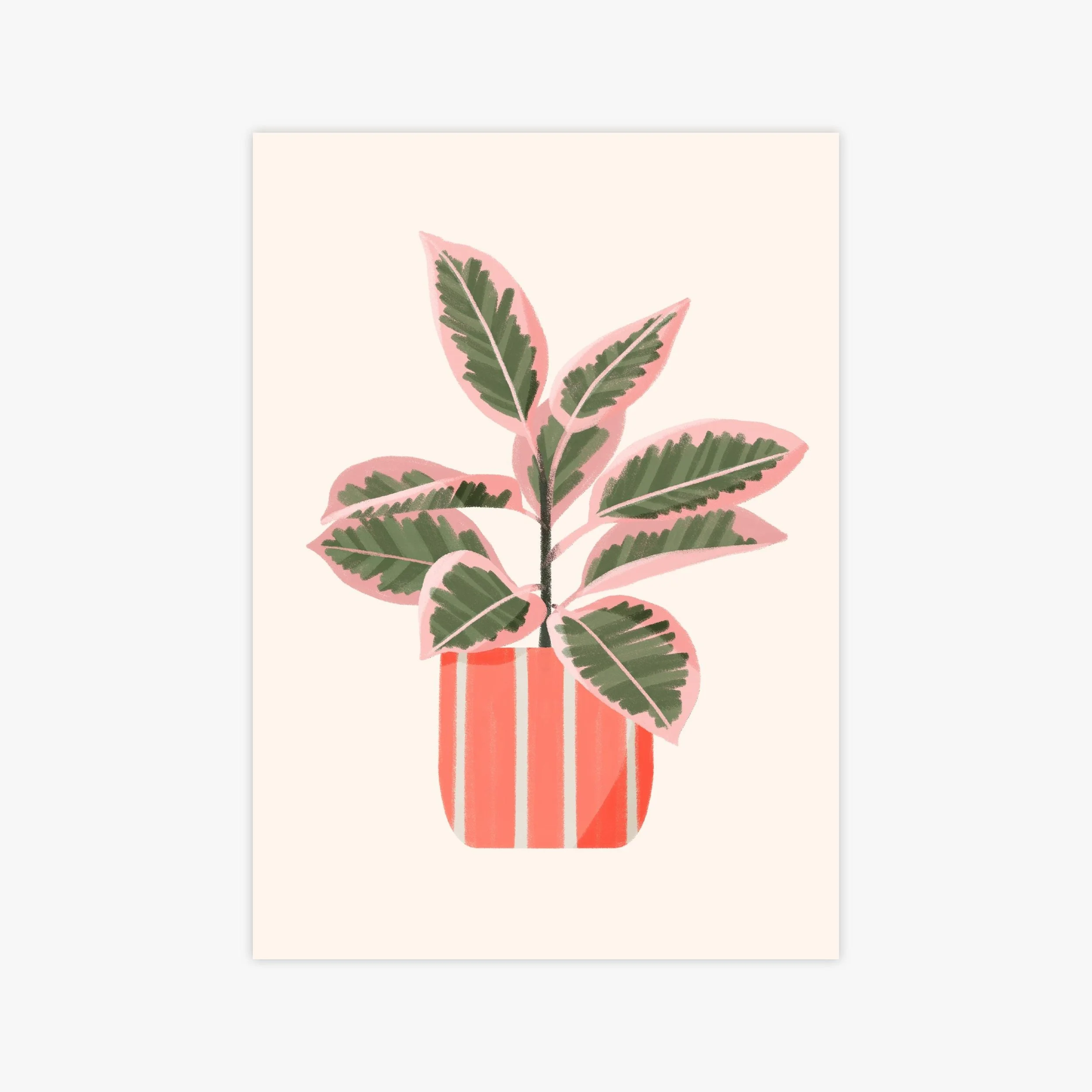 Calathea Kunstdruck – Illustration von Svea Hansohn