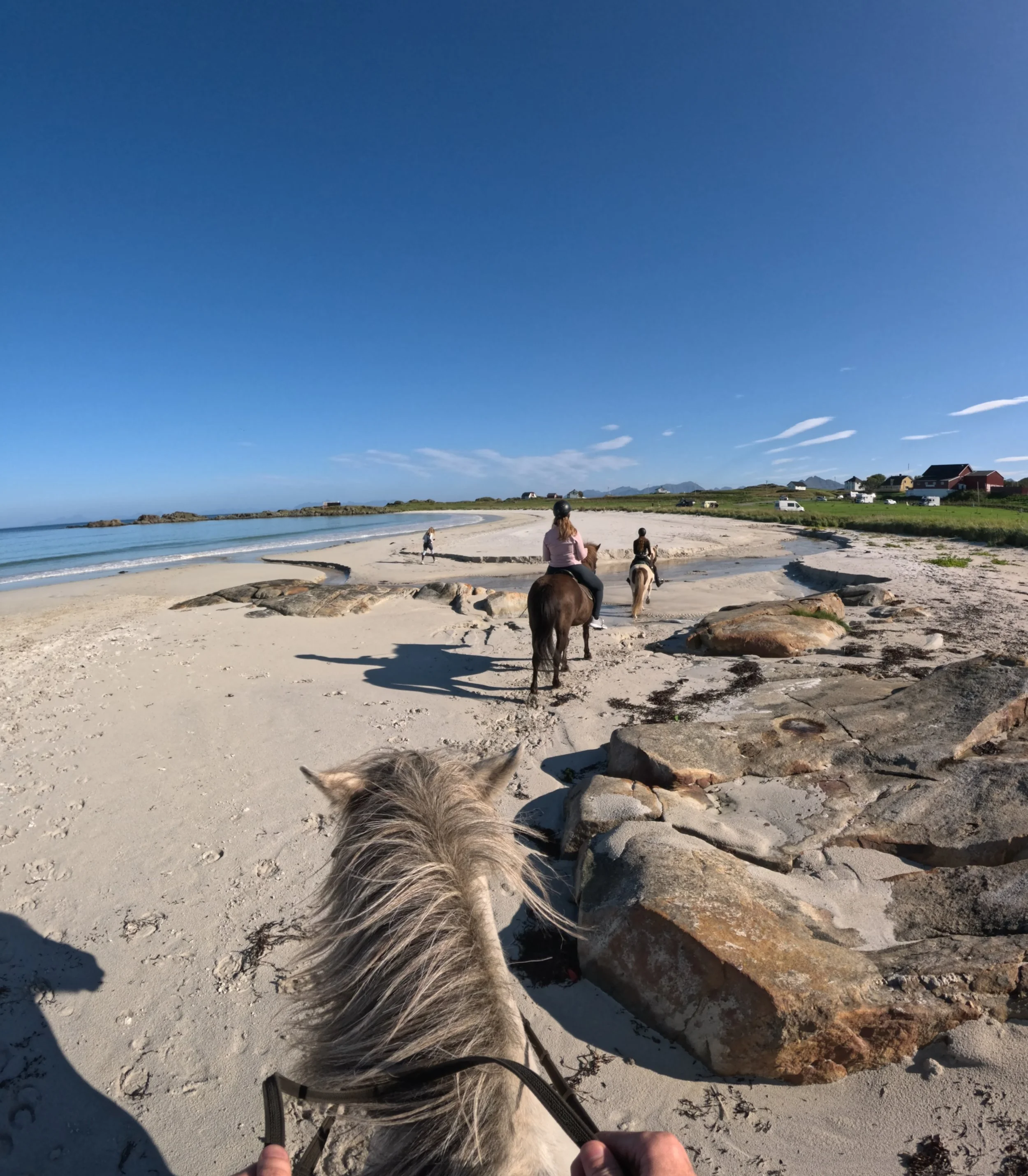 GPTempDownload 11.JPG