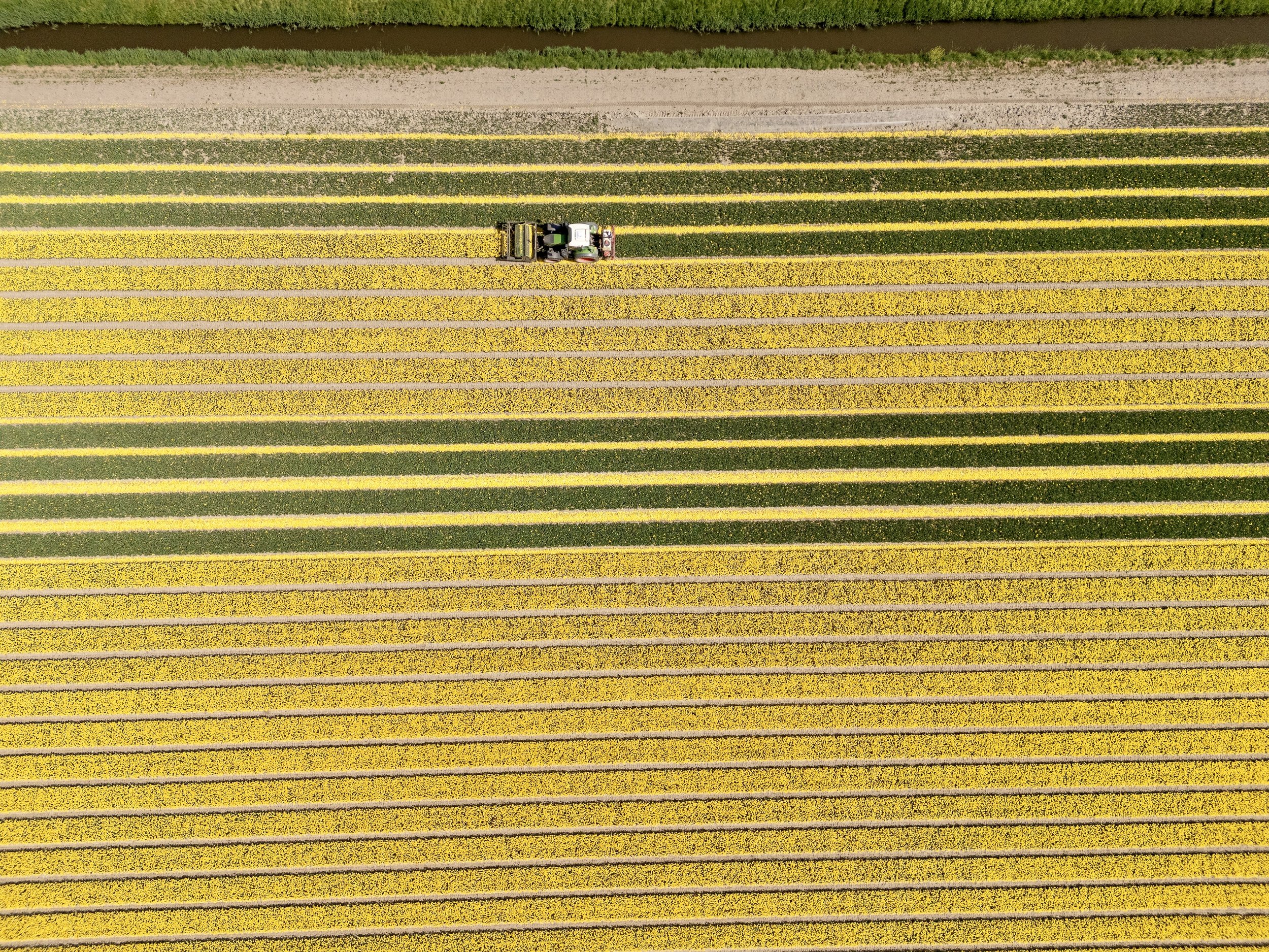 DJI_20250502083224_0004_D.jpg