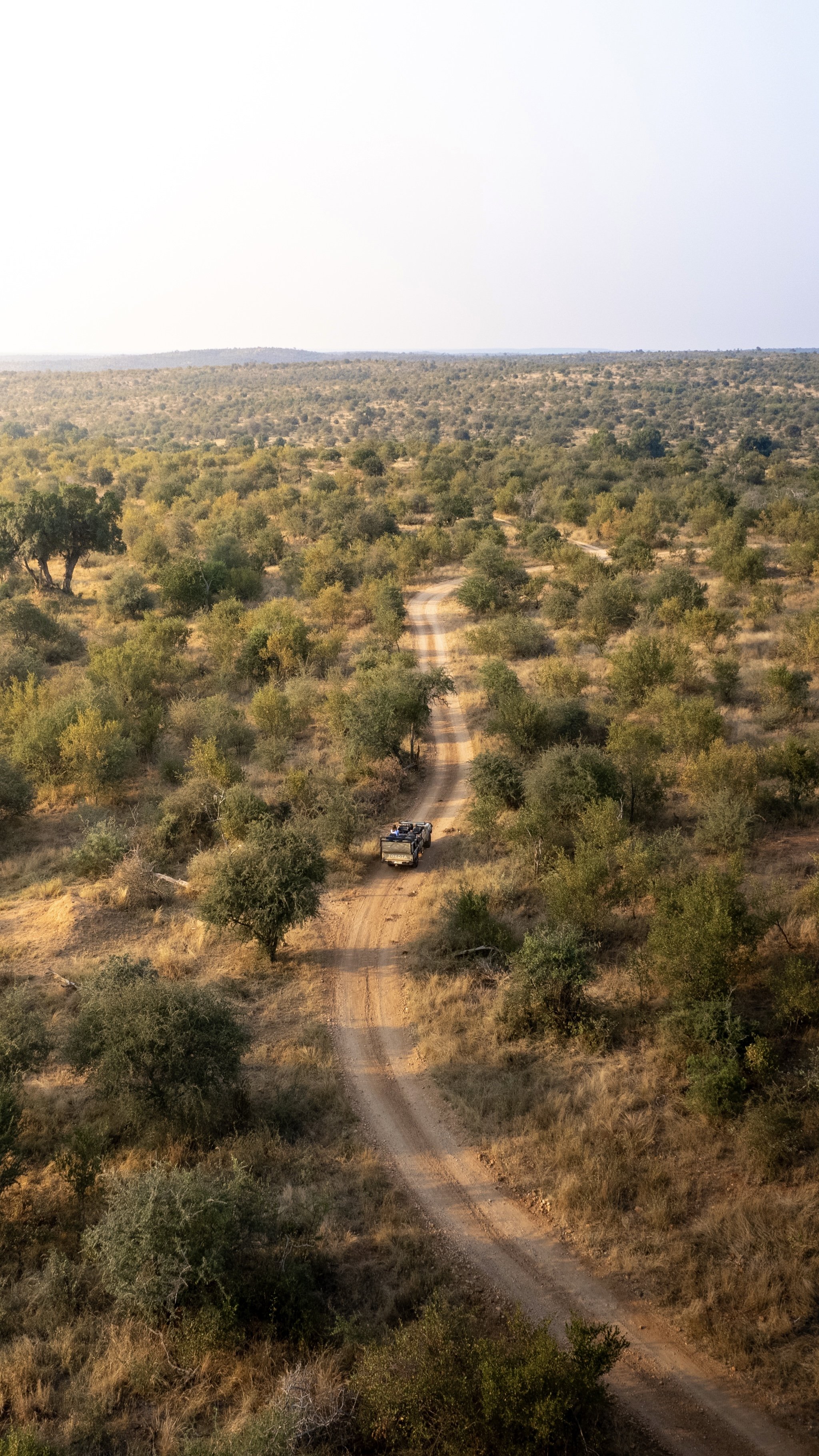 DJI_0873.jpg