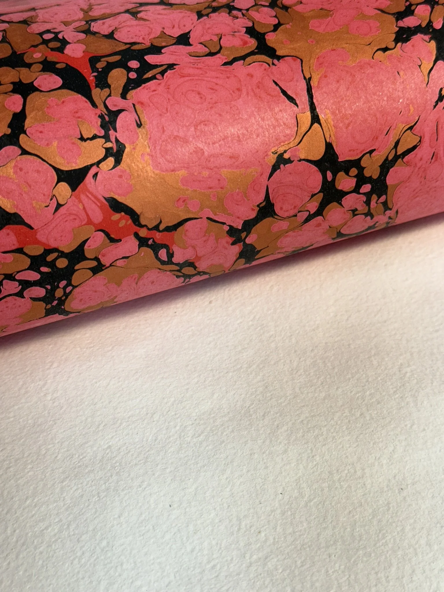 IMG_5409.JPEG (Copy)