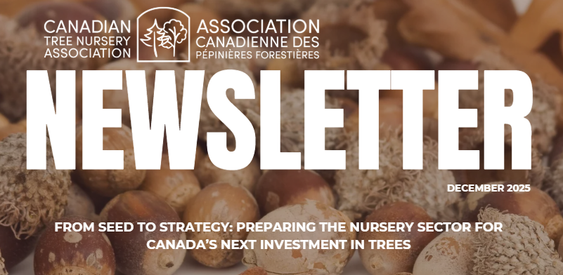 December 2025 Newsletter