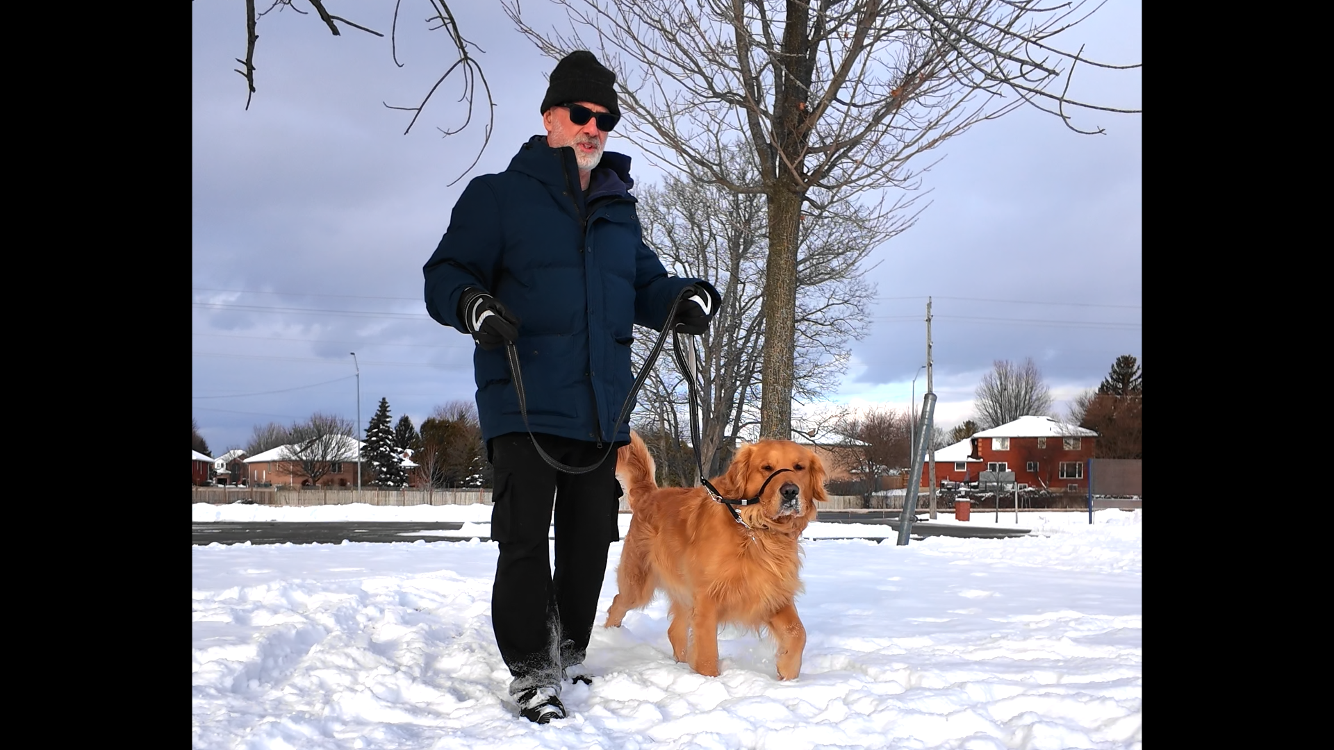 Calm Around Triggers (Reactivity)