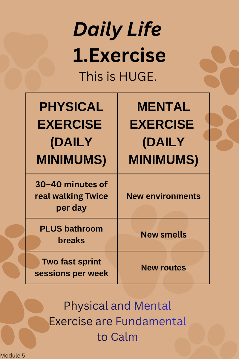 55 Reactivity.png