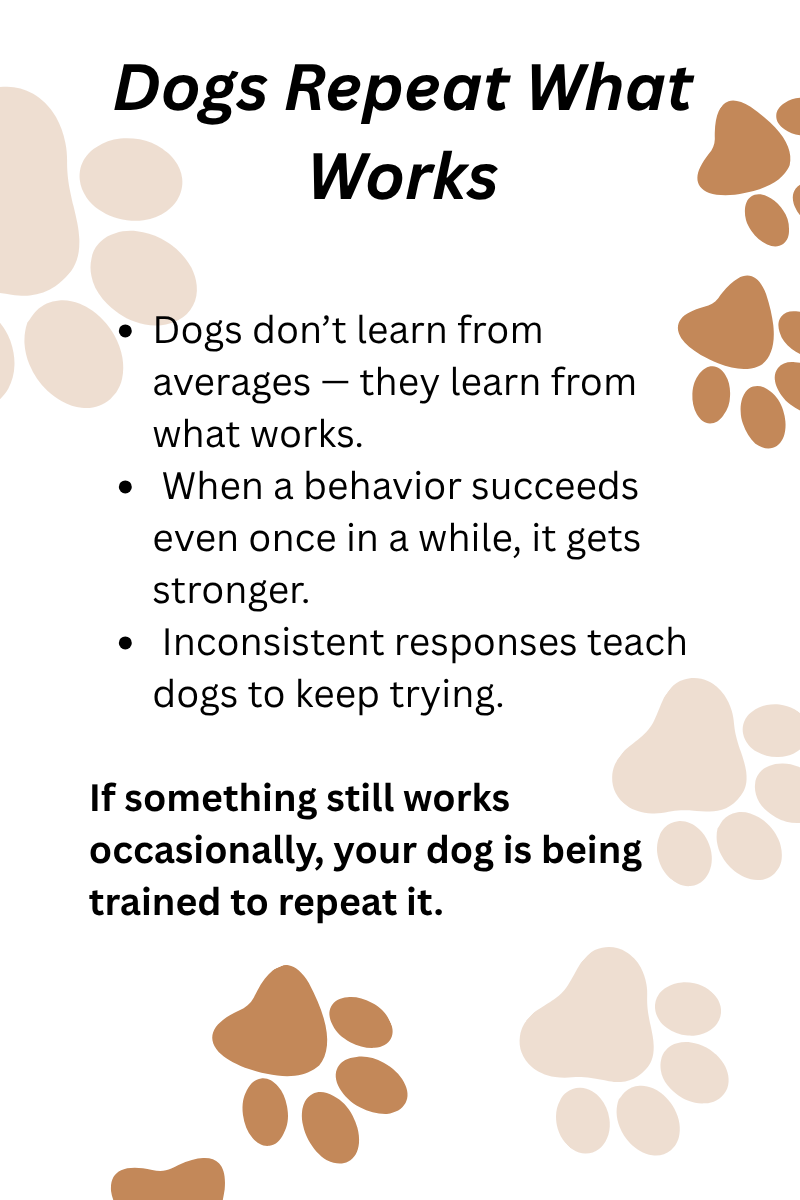 DOGS REPEAT WHAT WORKS