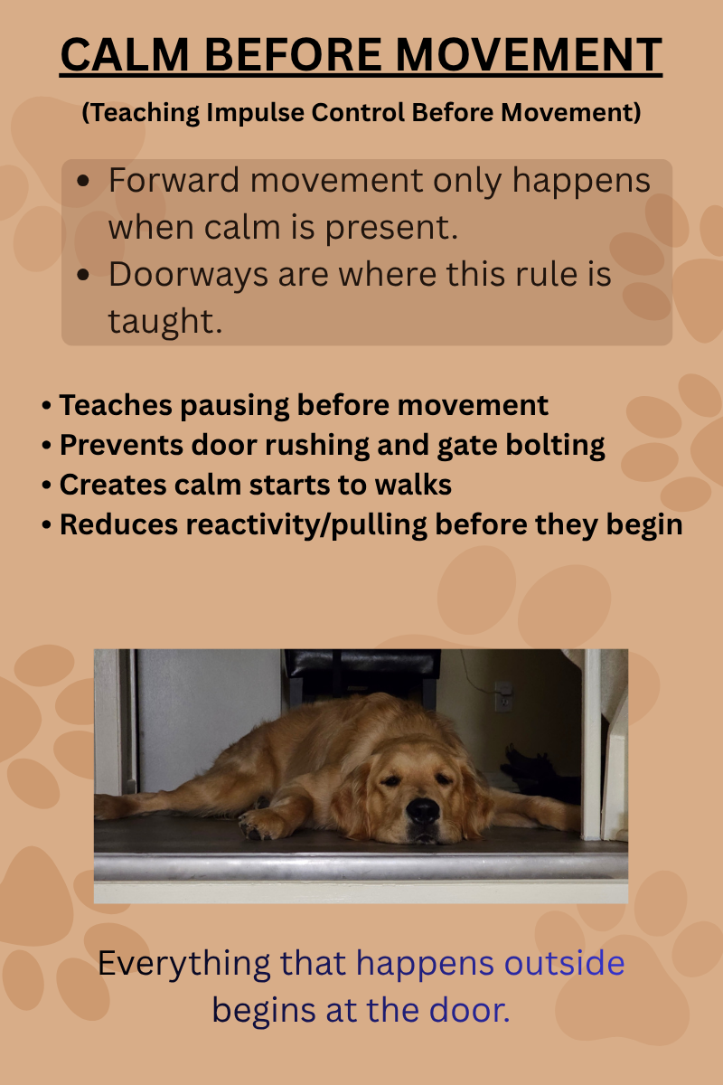 34 Calm Walks.png