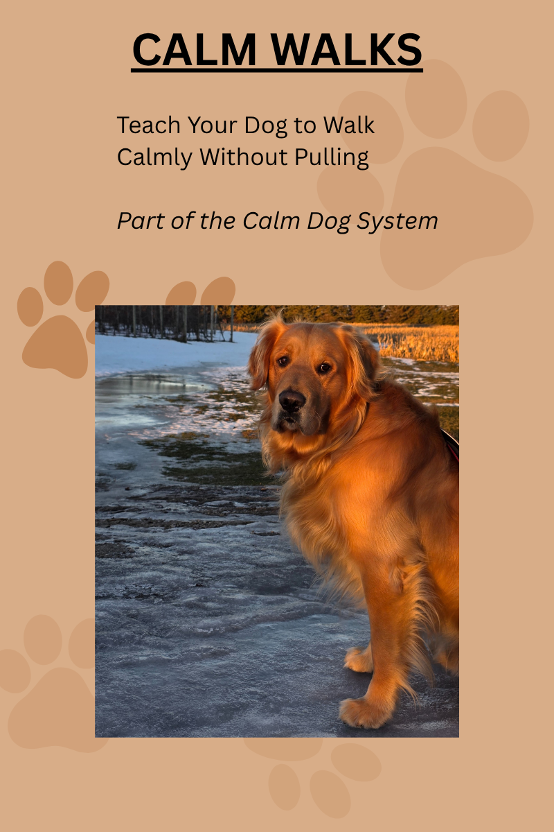 CALM WALKS