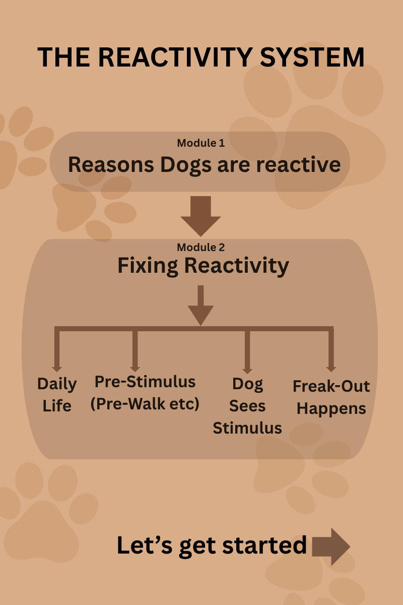 49 Reactivity.png