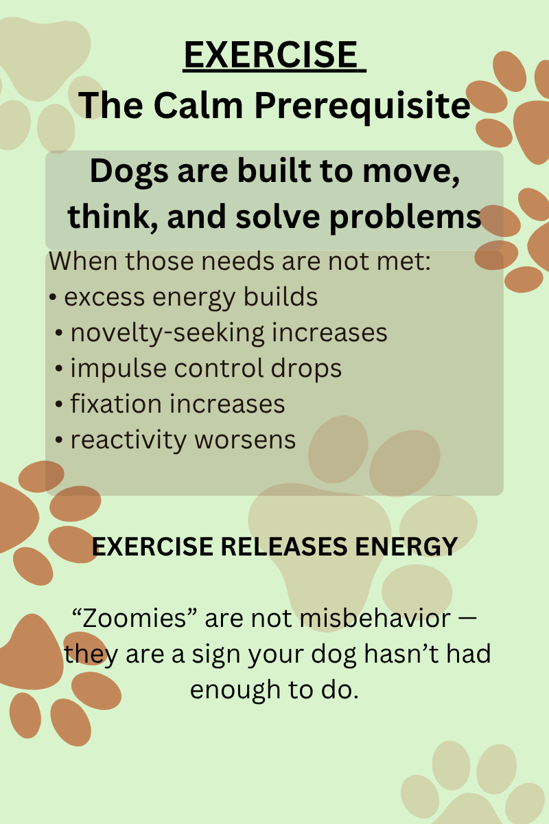 EXERCISE AGAIN