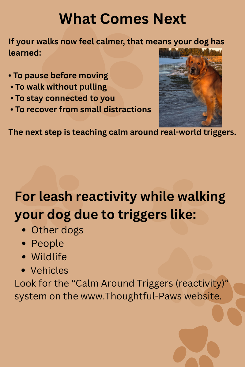 46 Loose Leash Walking.png