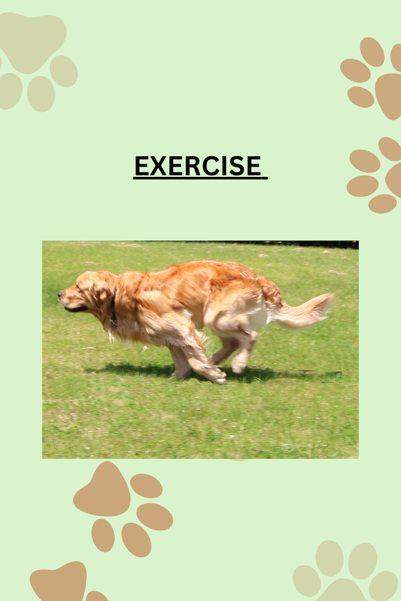 EXERCISE