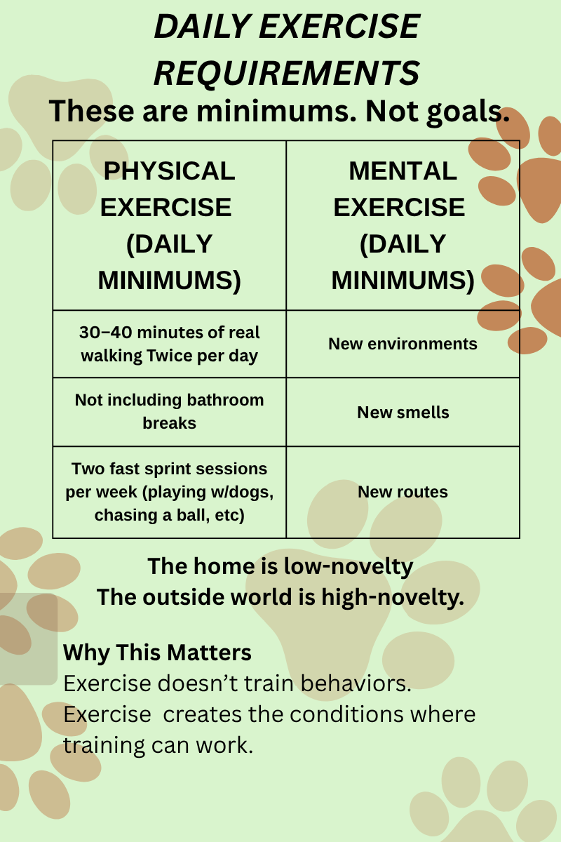 DAILY EXERCISE REQUIREMENTS
