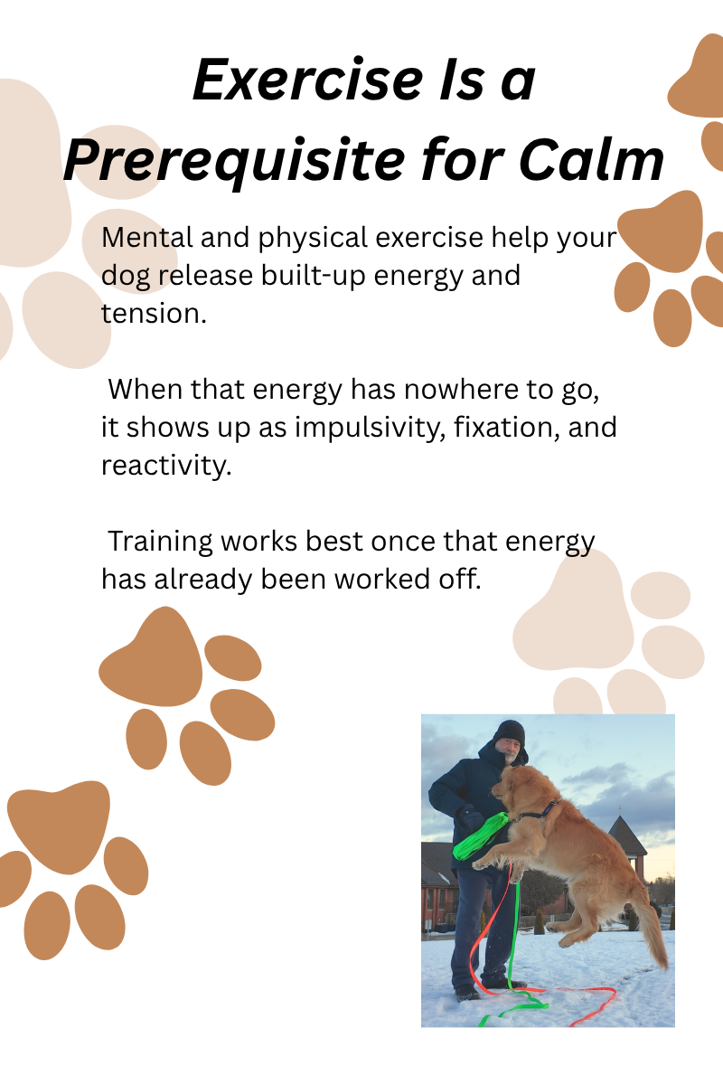 EXERCISE IS THE START