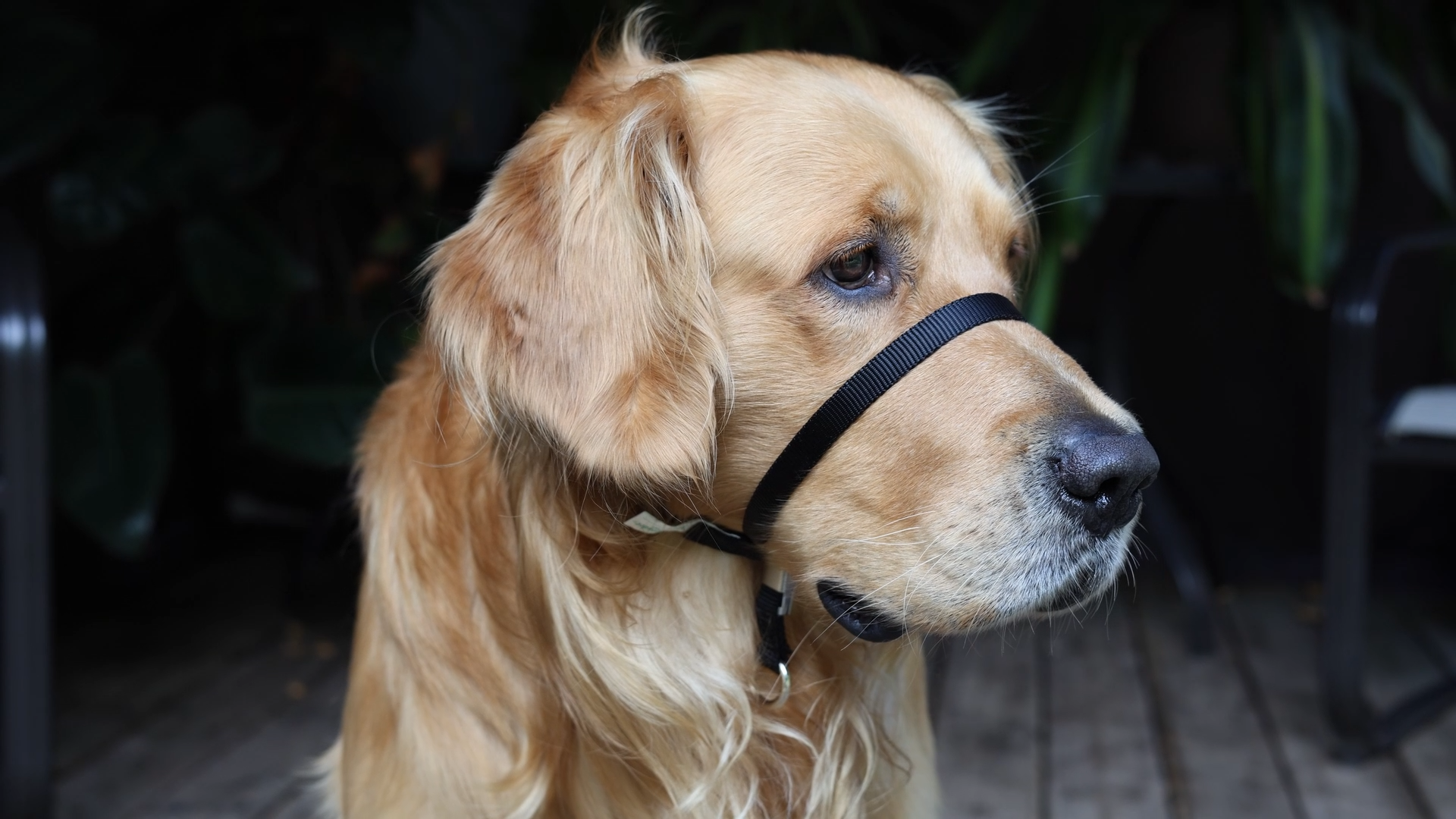 Still 2026-01-06 104327_1.5.1.png