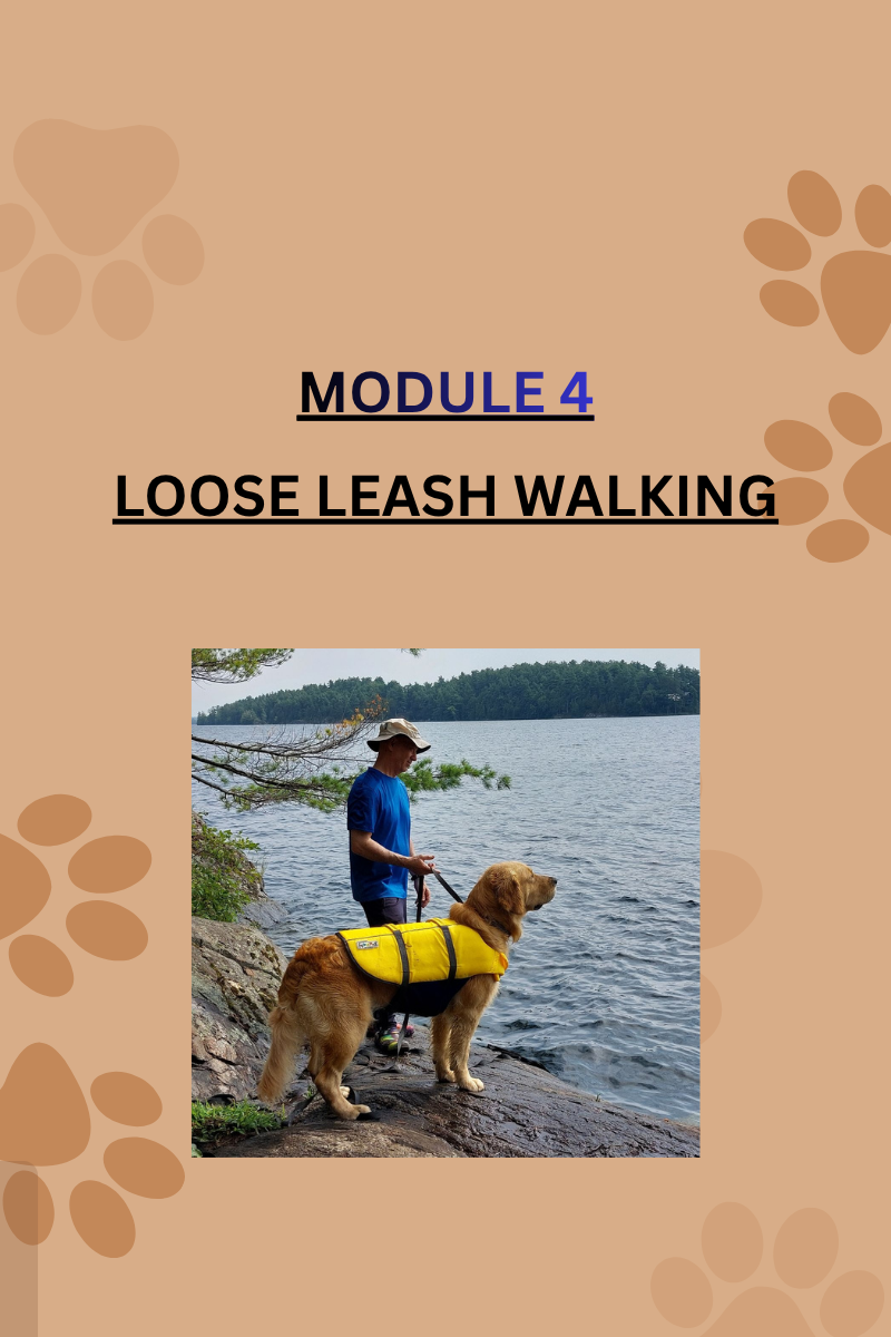 41 Loose Leash Walking.png