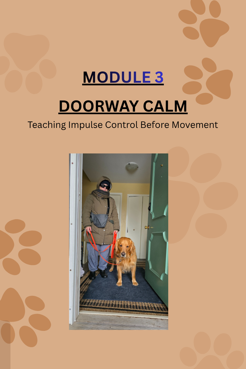 33 Calm Walks.png