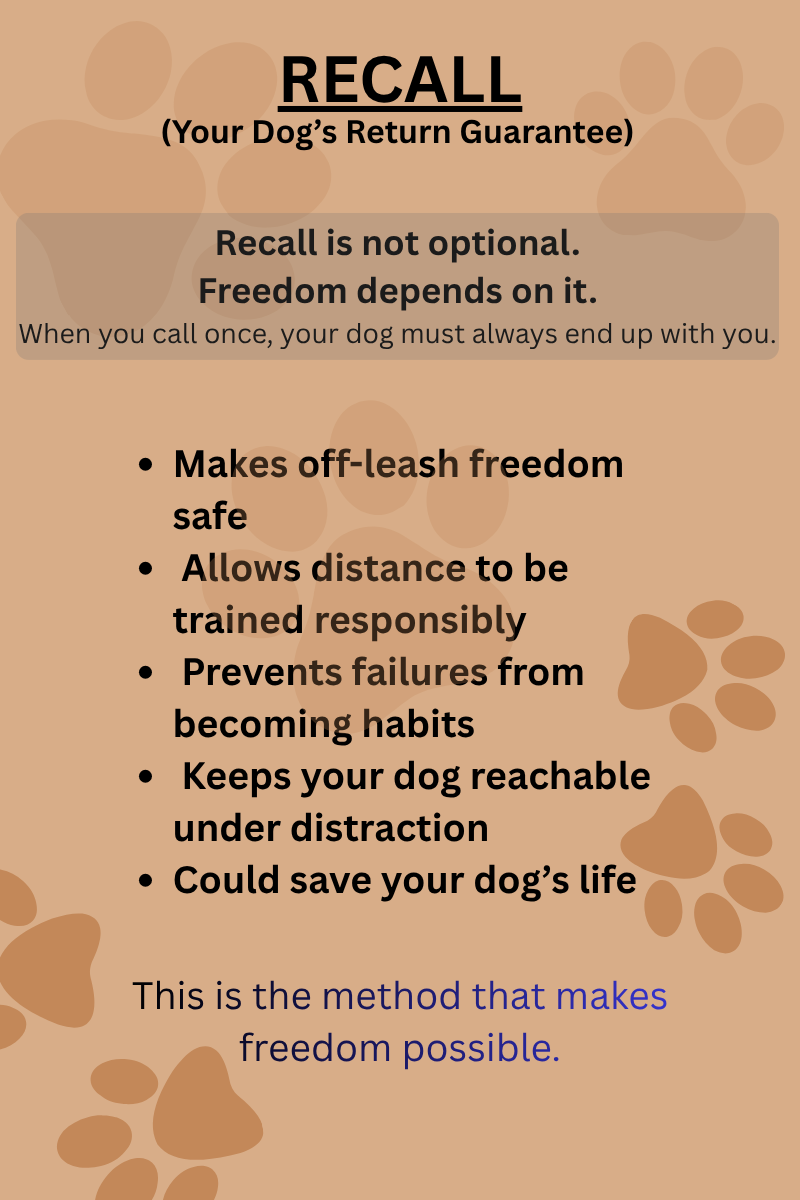 75 Recall.png