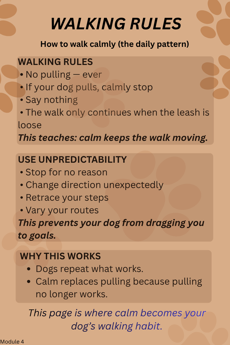 45 Loose Leash Walking.png