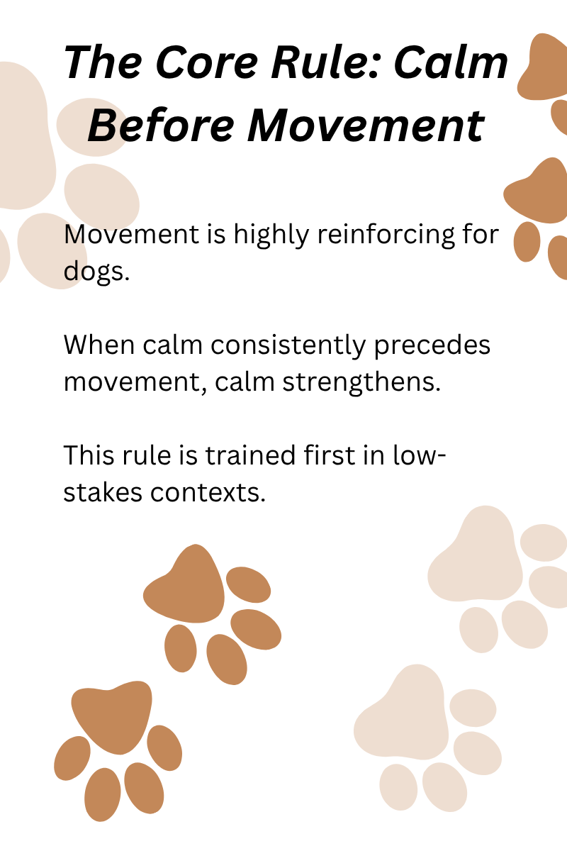 CALM BEFORE MOVEMENT