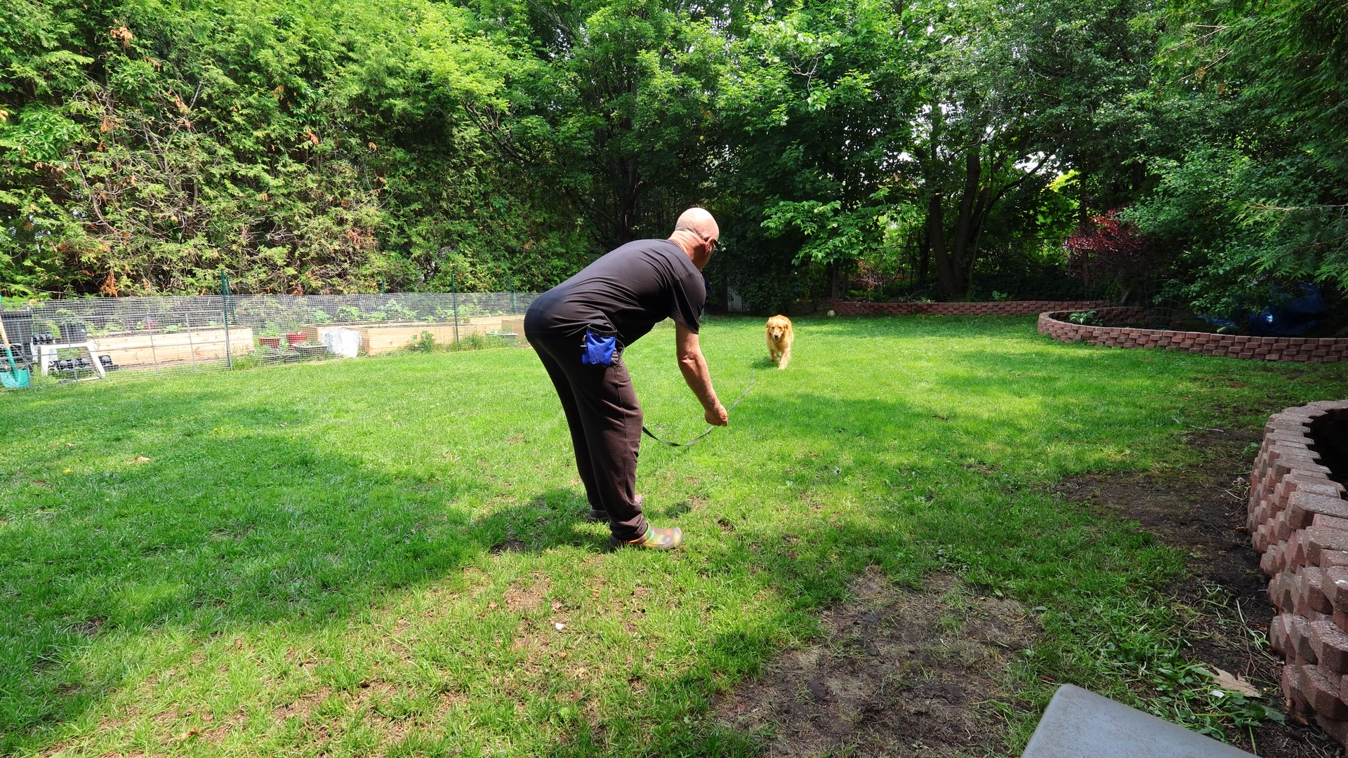 Still 2026-01-04 185226_1.2.1.png